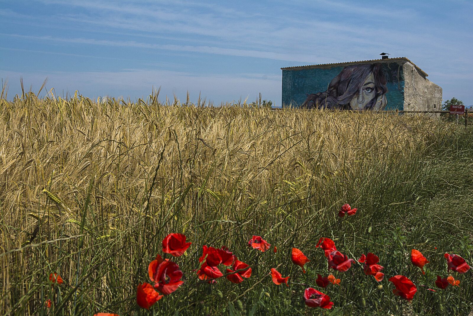 Nikon D7100 sample photo. Poppy, casita, landscape photography