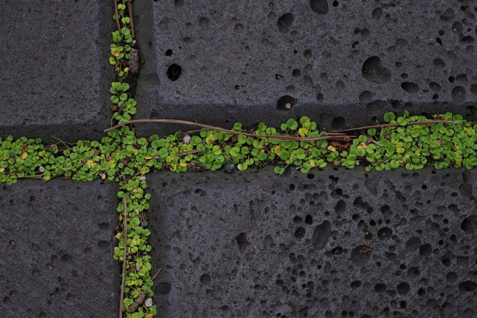 Olympus OM-D E-M1 Mark II + Olympus M.Zuiko Digital ED 40-150mm F2.8 Pro sample photo. Cross, stone, moss photography