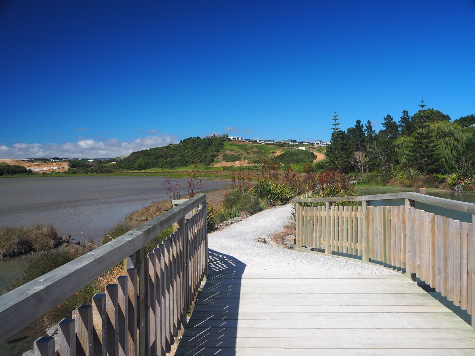 Olympus OM-D E-M10 sample photo. Bridge, walkway, pathway photography