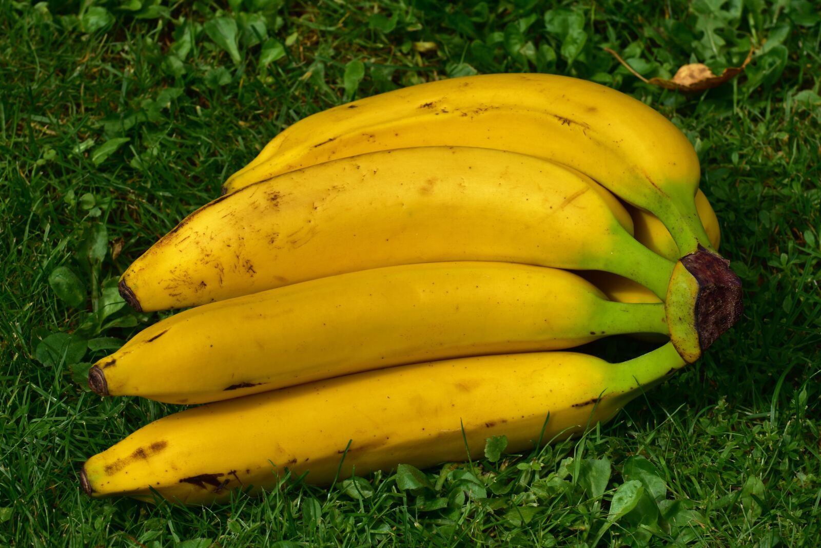 Nikon D7200 sample photo. Bananas, fruits, fruit photography