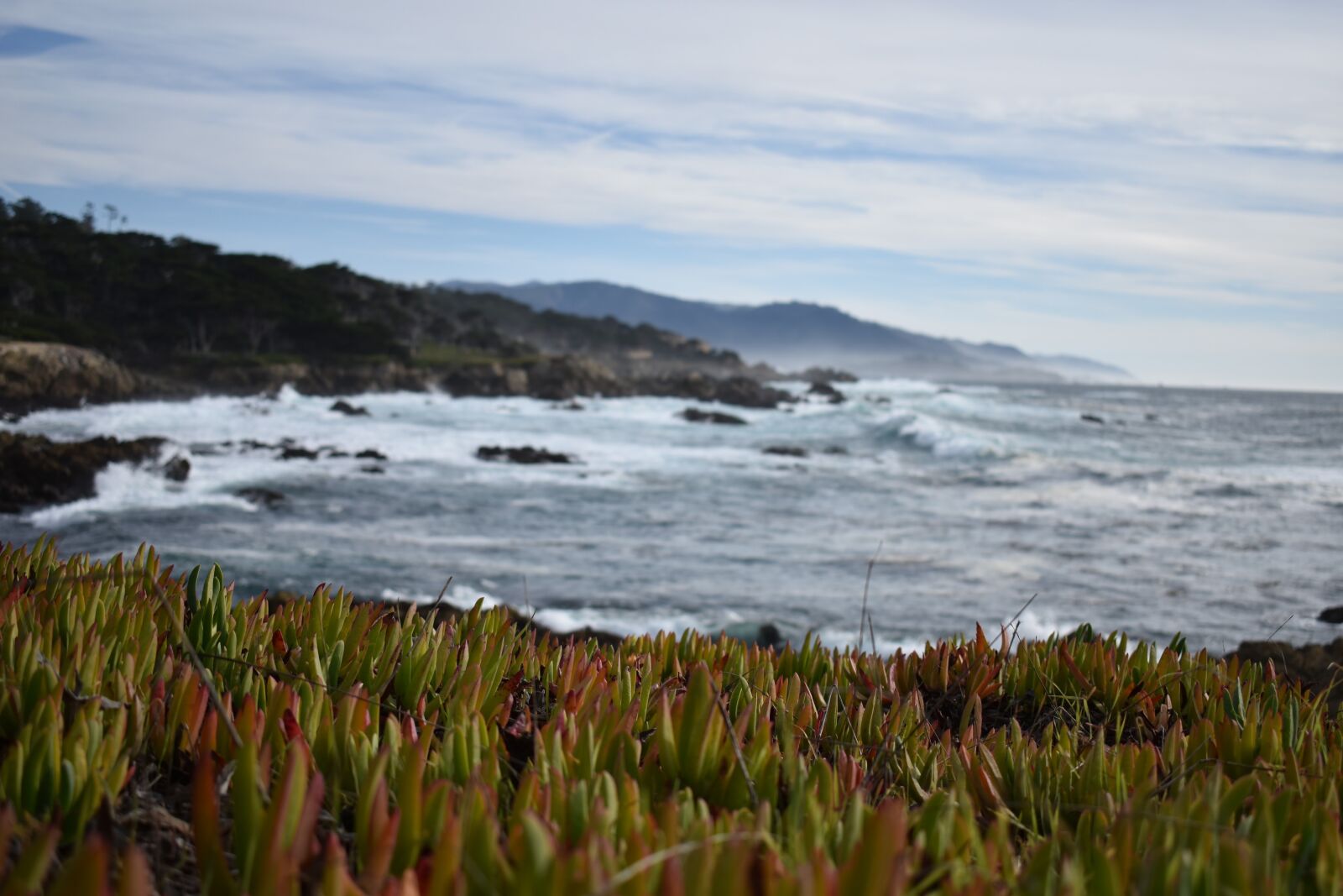 Nikon D3400 sample photo