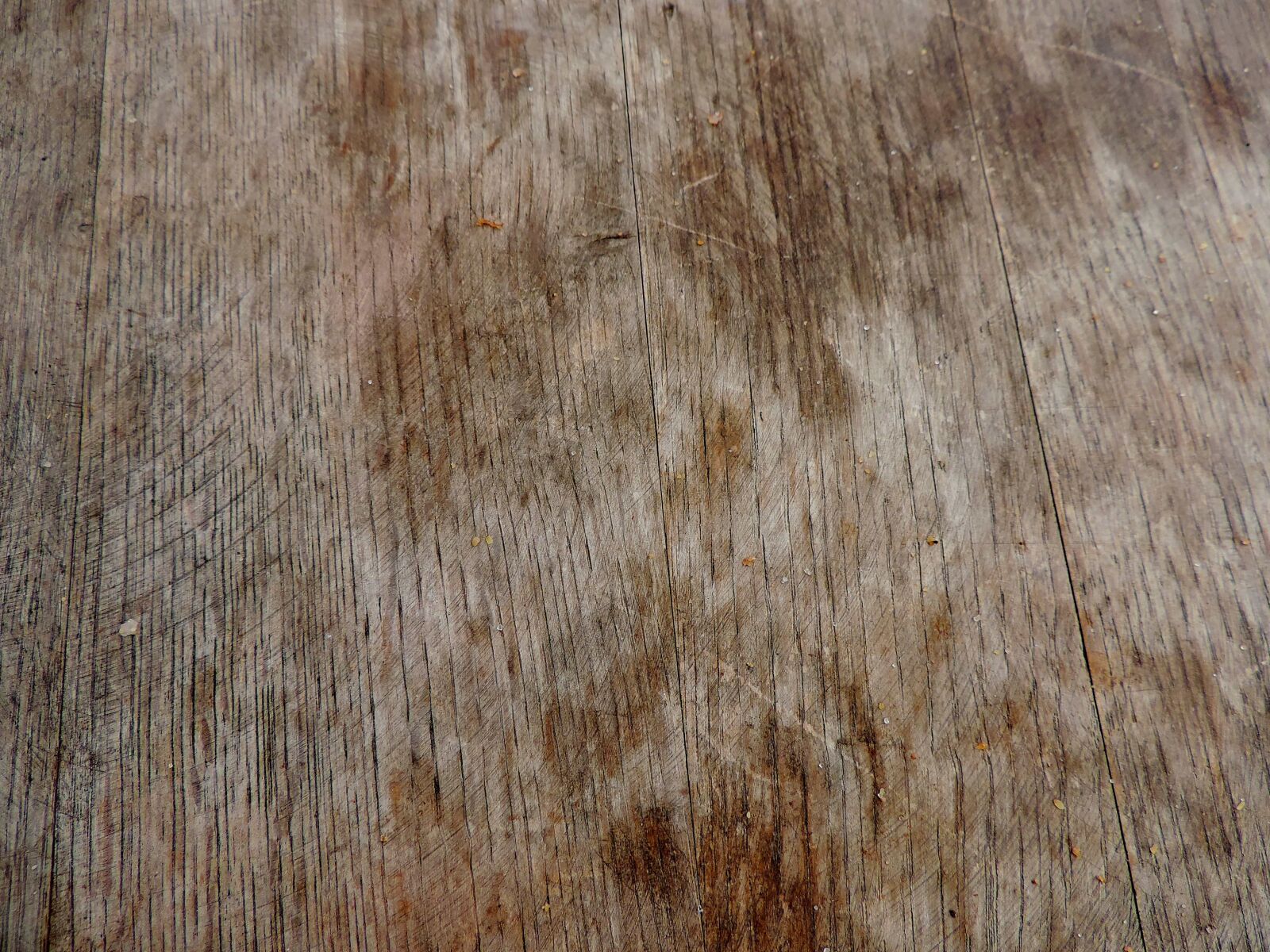 Nikon Coolpix P520 sample photo. Hardwood, pattern, design, old photography
