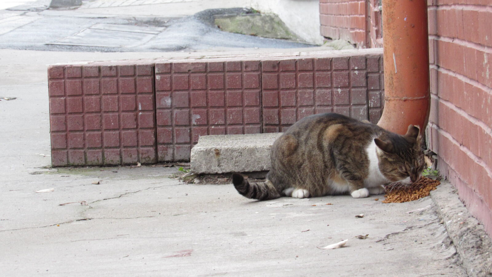 Canon PowerShot SX520 HS sample photo
