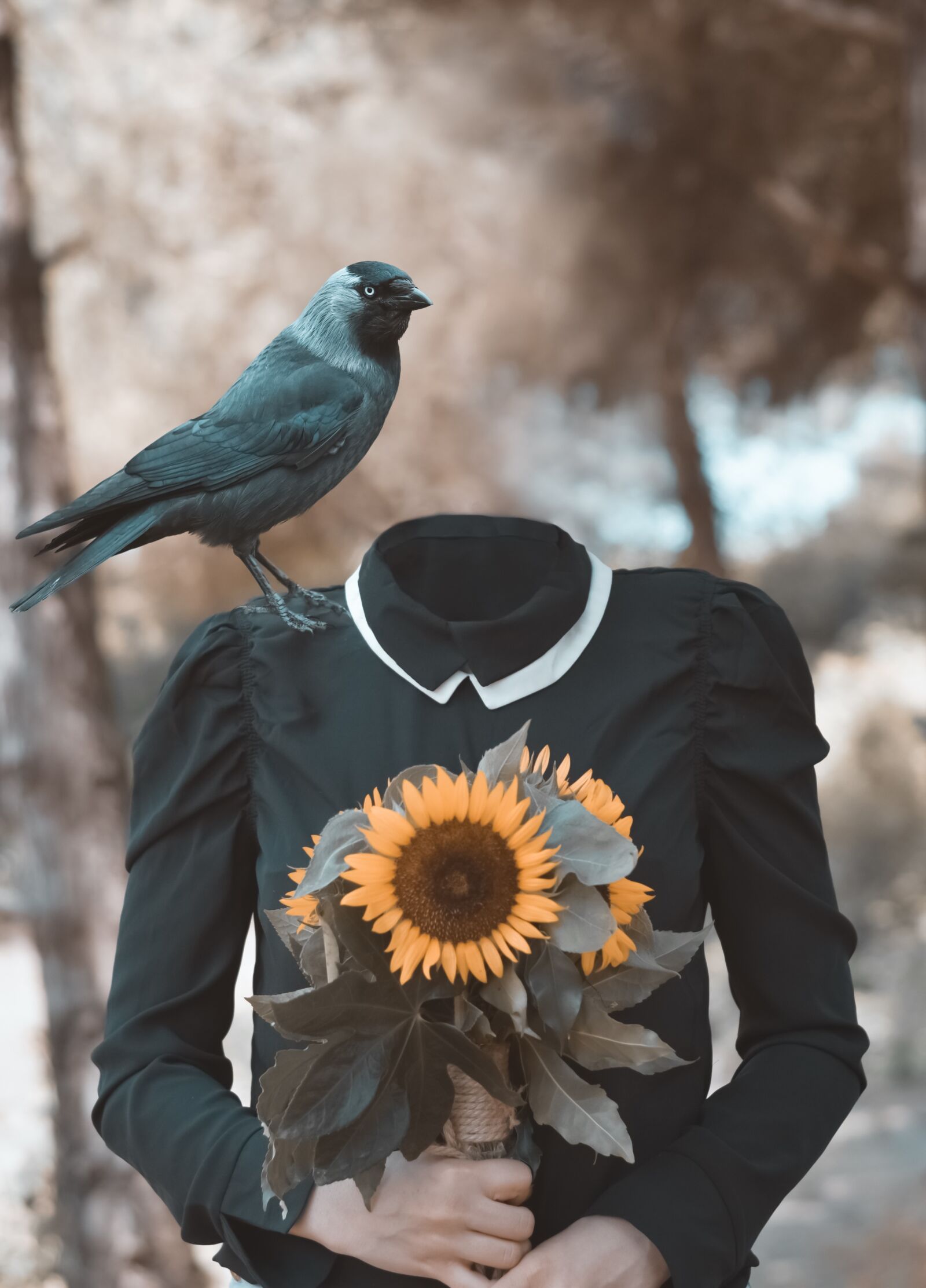 Nikon D5300 sample photo. Fine art, sunflower, crow photography
