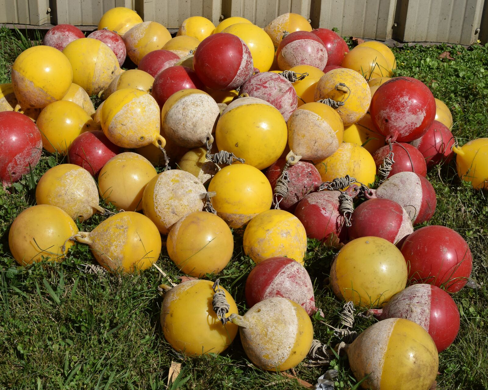 Nikon D3300 sample photo. Used lane floats, skull photography