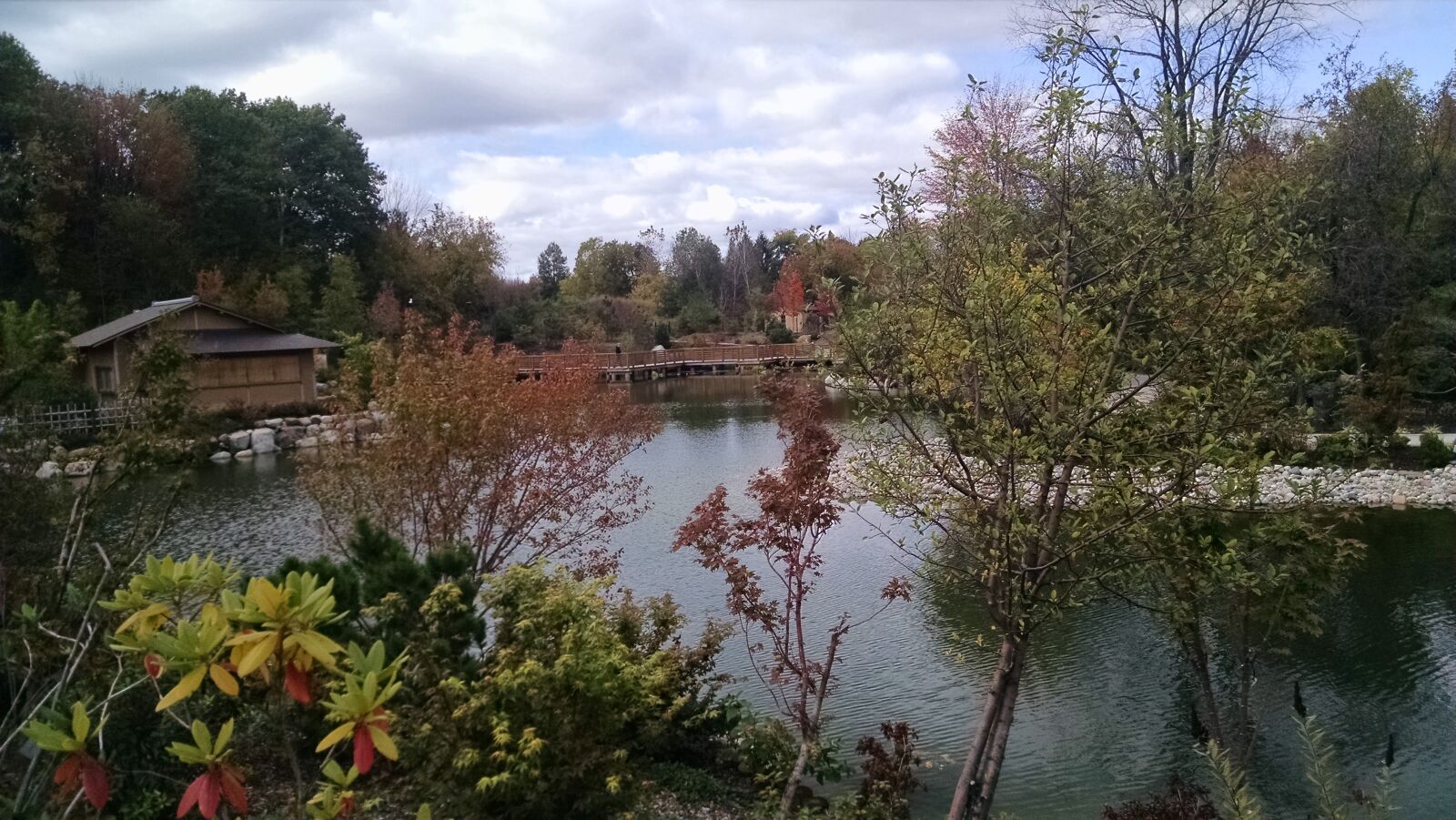 Motorola XT1080 sample photo. Japanese, garden photography