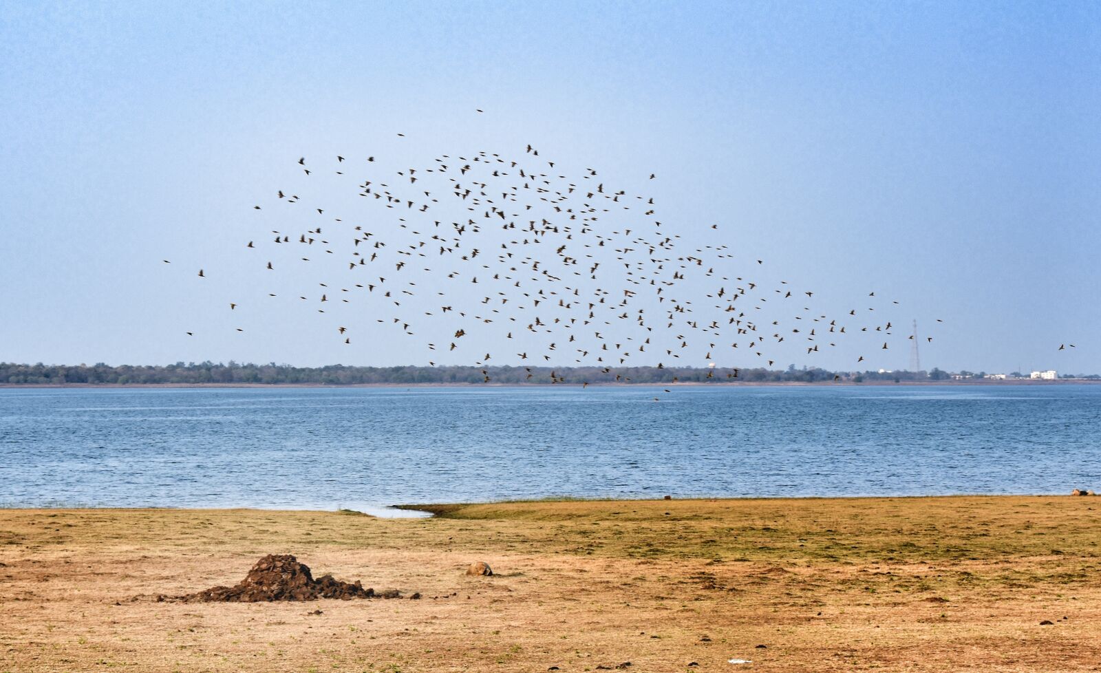 Nikon D3400 sample photo. Tandula, dam, balod photography