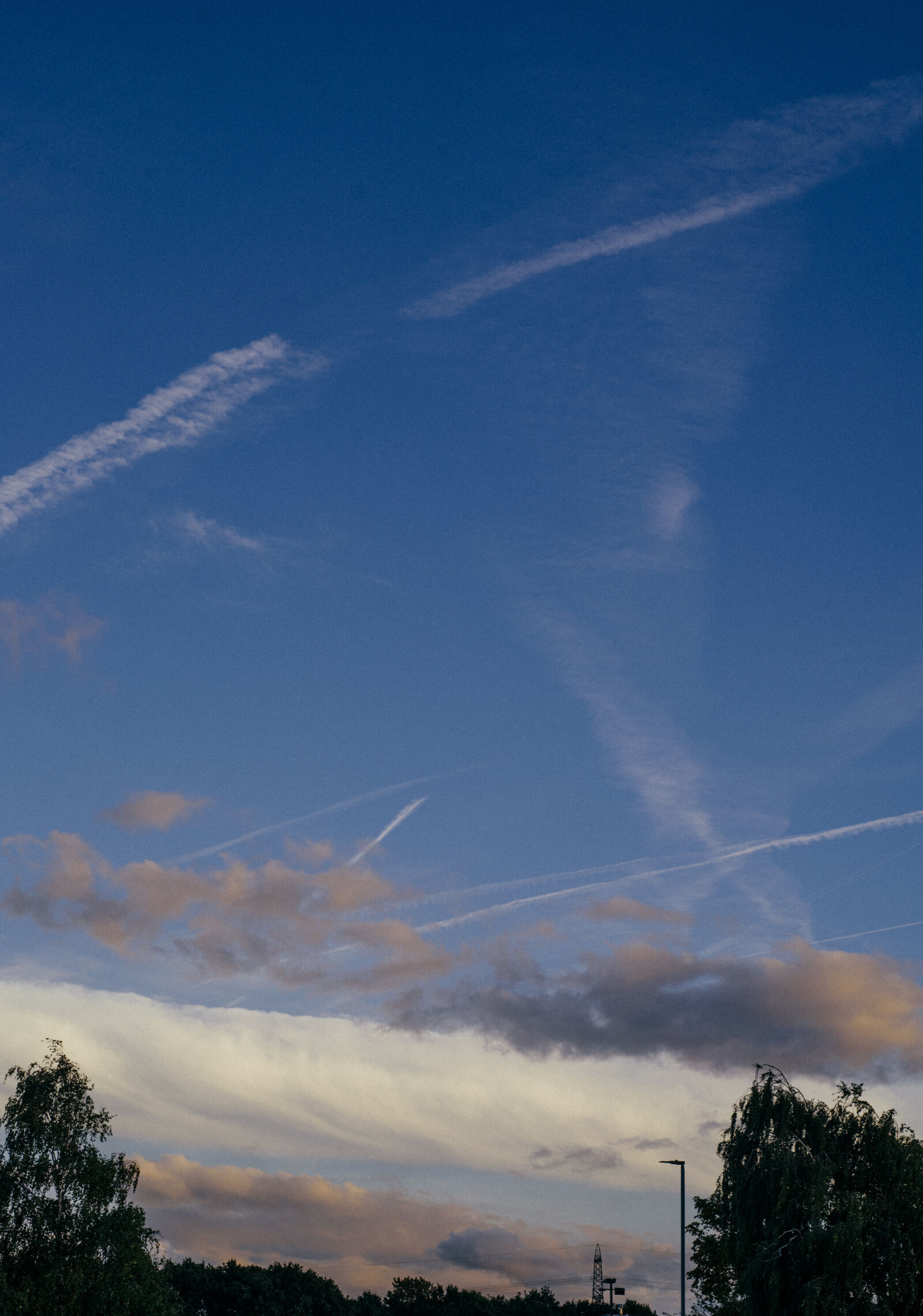 Nikon D750 sample photo