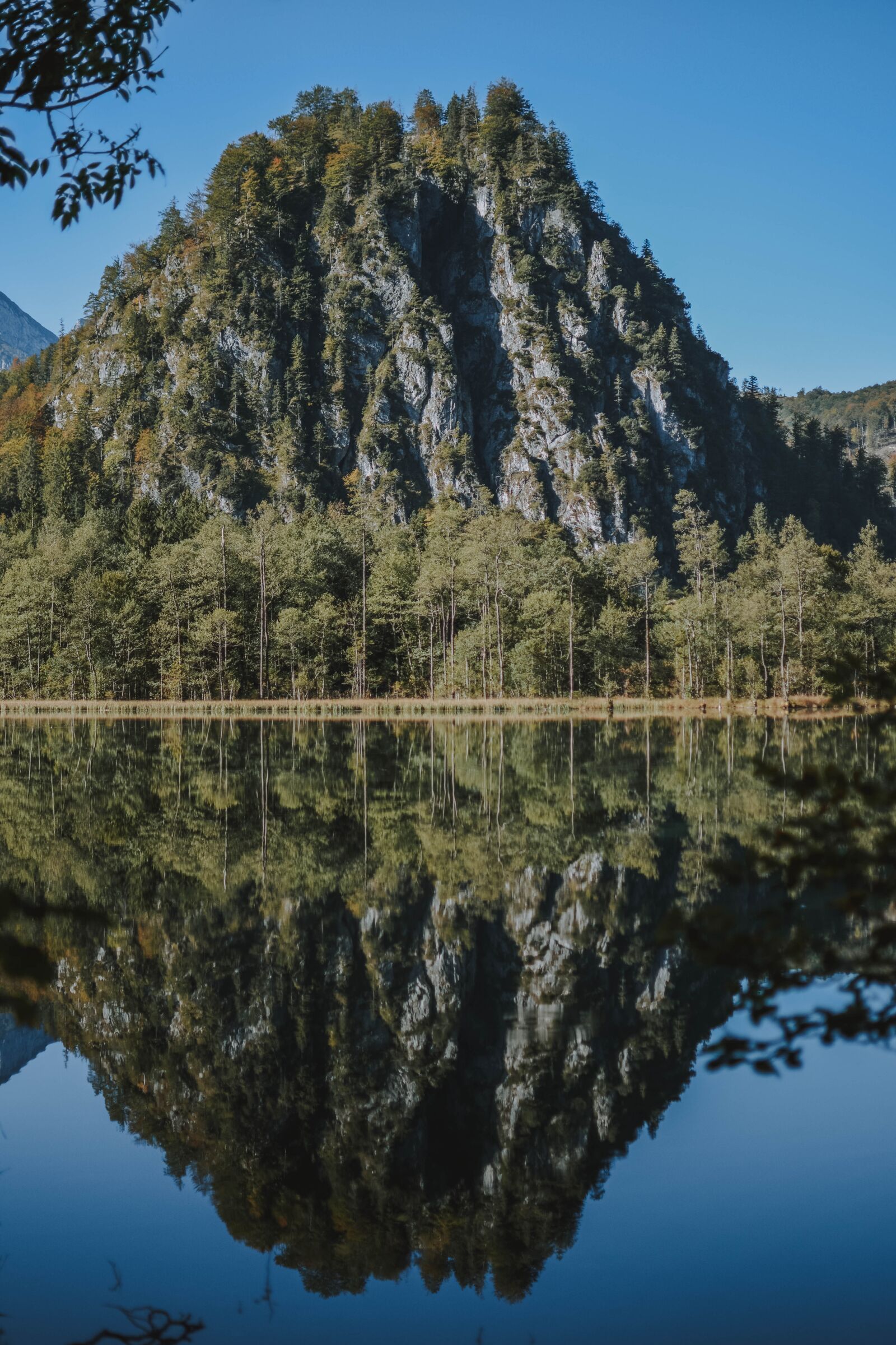 Nikon D5200 sample photo. Nature, landscape, forest photography