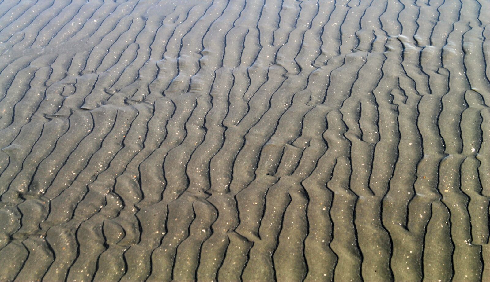 Canon EOS 1100D (EOS Rebel T3 / EOS Kiss X50) sample photo. Sea, sand, bangladesh photography