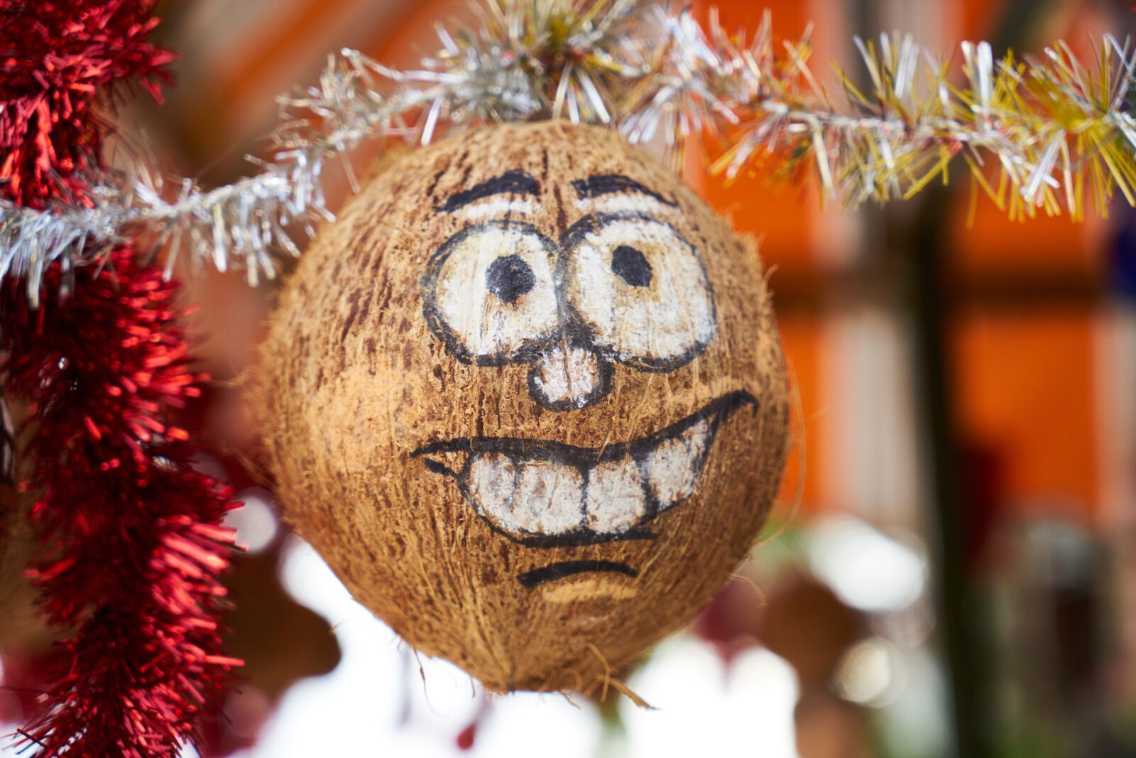 Sony a7R II sample photo. Ornament, new year, entertainment photography