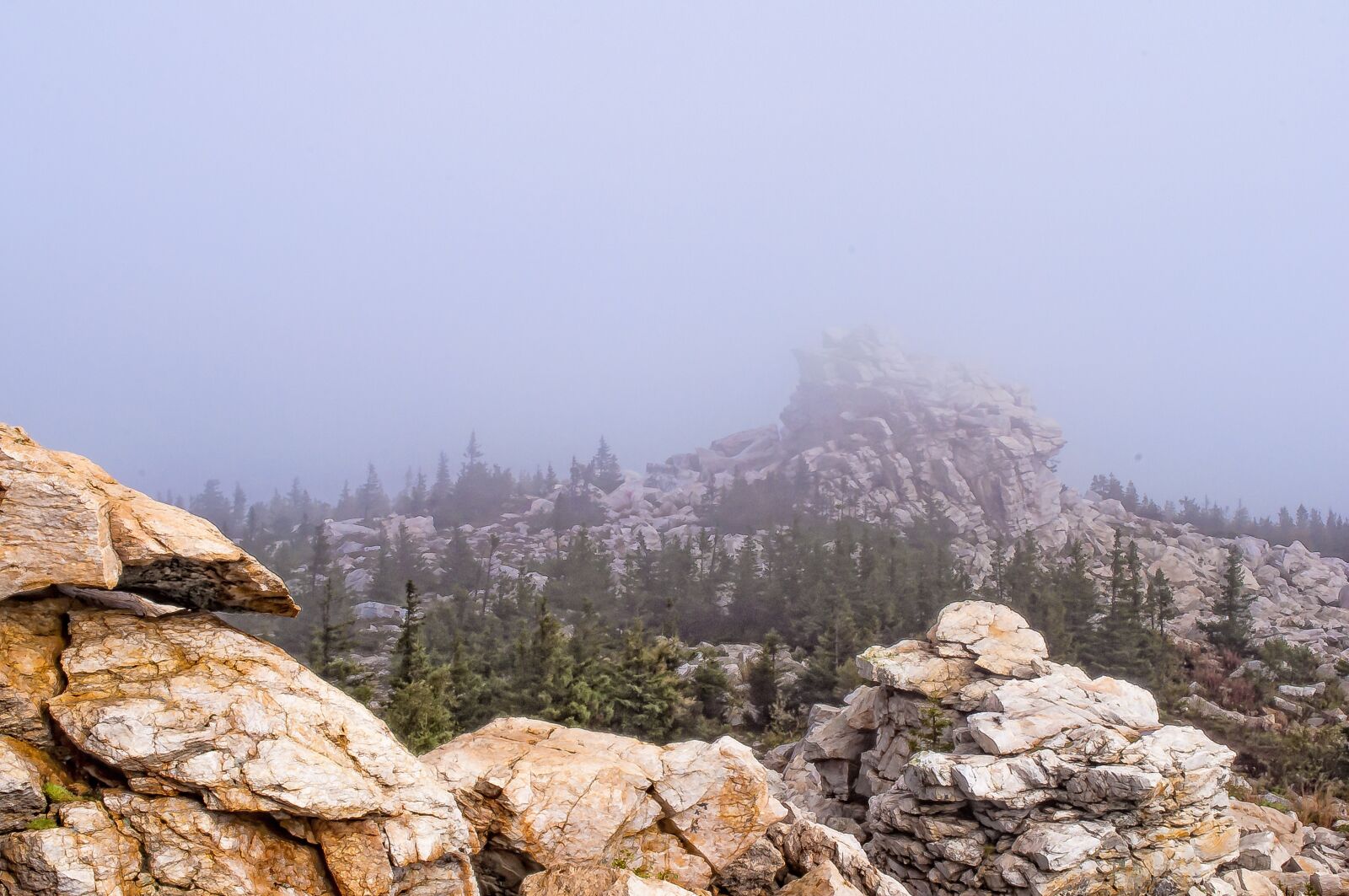 Nikon D5000 sample photo. Nature, sky, mountain photography