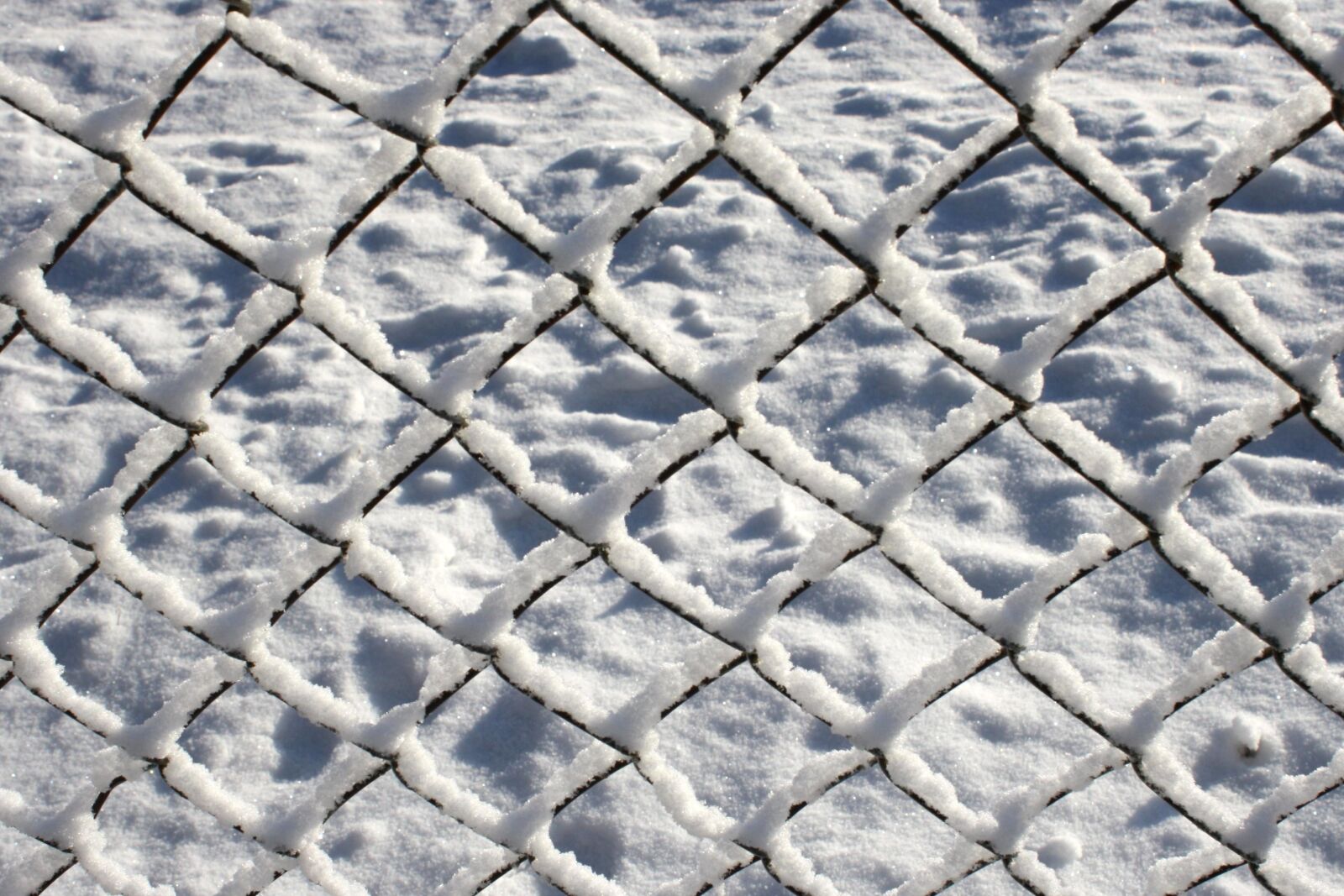 f/3.5-5.6 IS sample photo. Wire fence, coated, snow photography