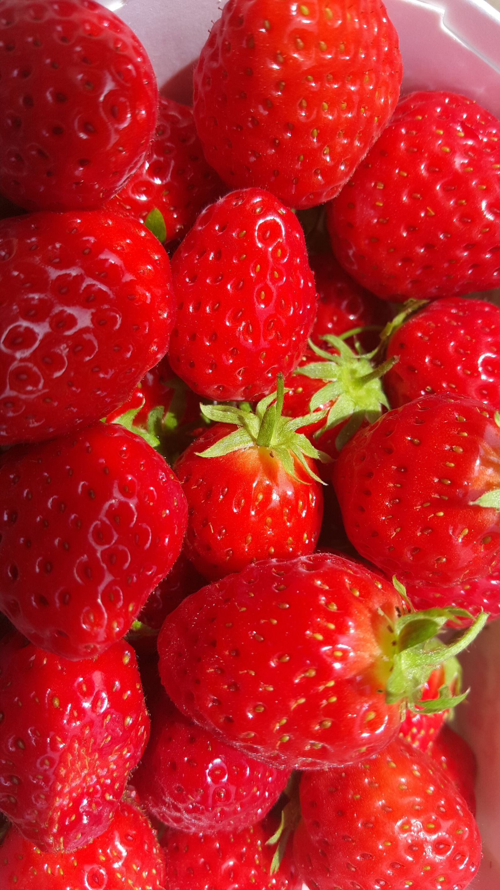 Samsung GALAXY S6 edge sample photo. Strawberries, fruits, red photography