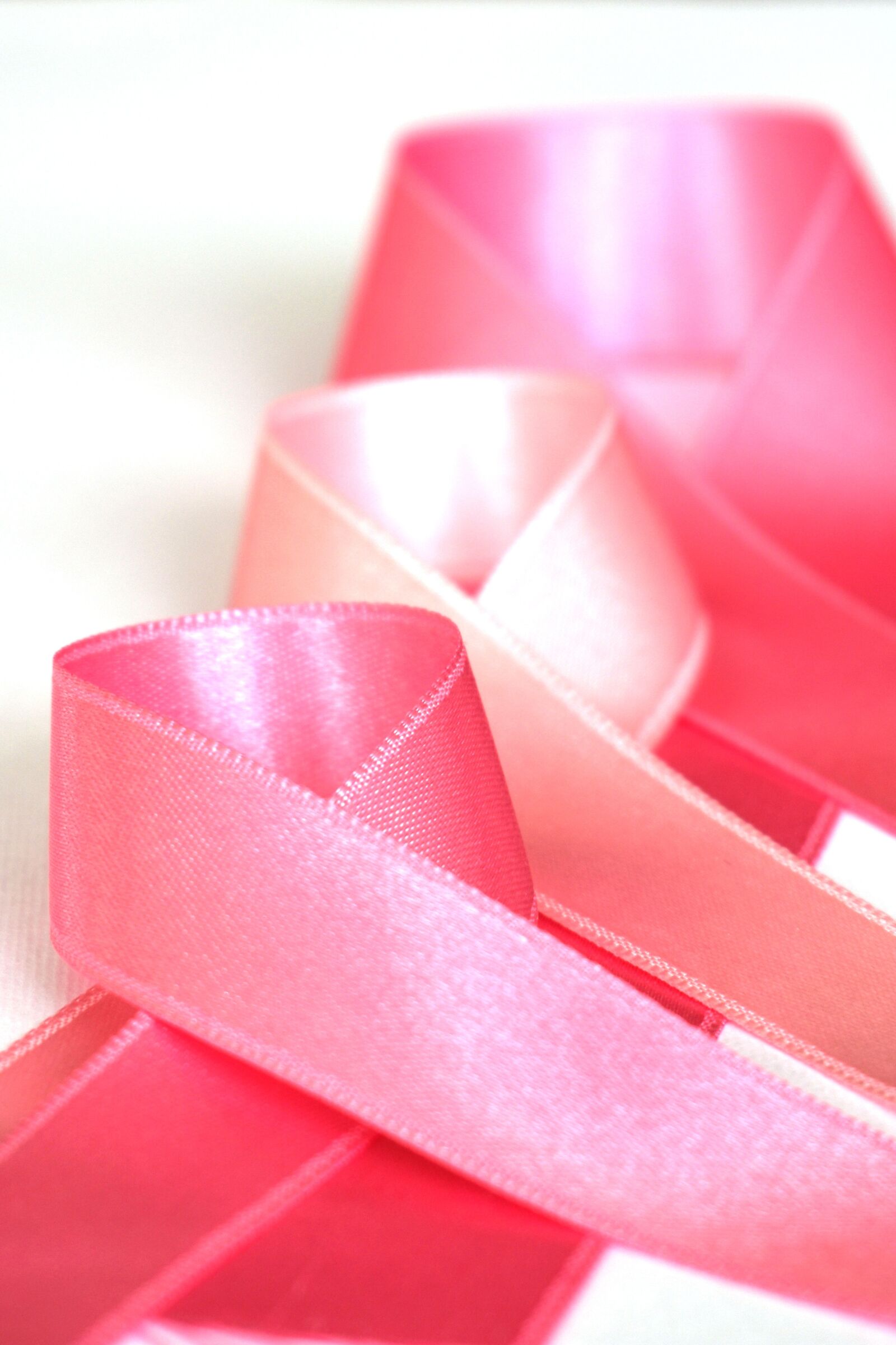 Nikon D3400 sample photo. Pink ribbon, breast cancer photography