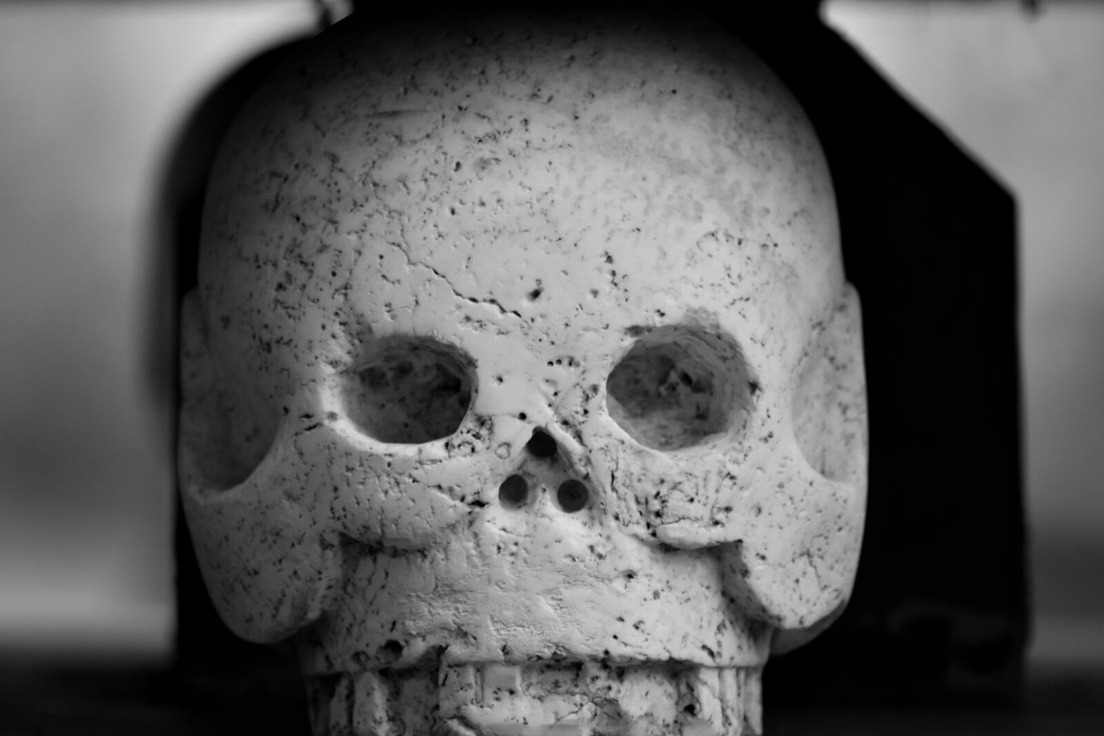 Nikon D5500 sample photo. Artwork, head, marble, skull photography
