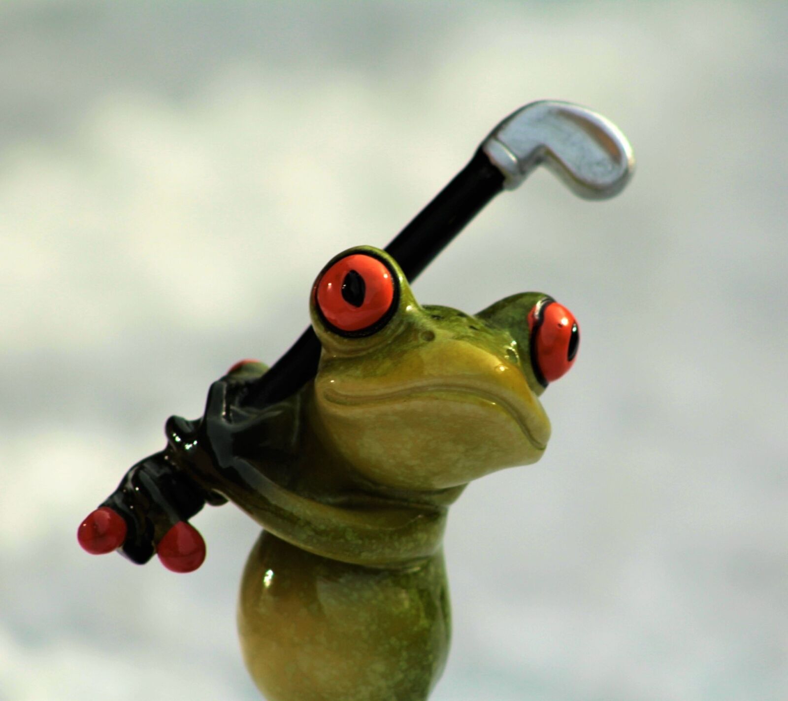 Canon EF 75-300mm f/4-5.6 sample photo. Frog, golf, golf clubs photography