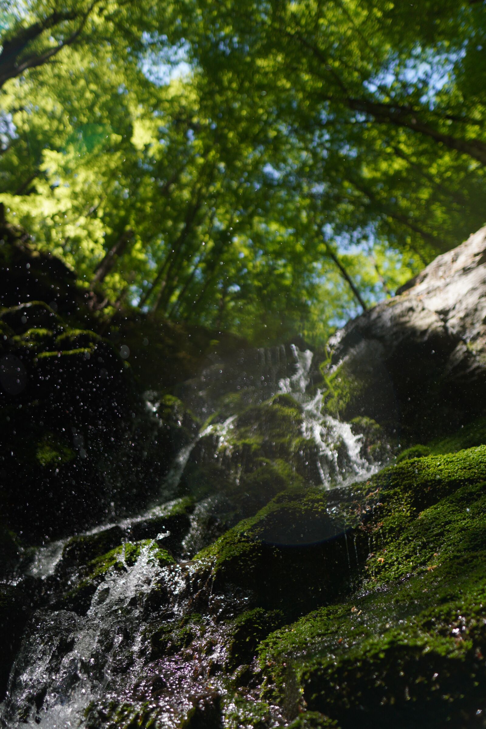 Sony a6400 + Sigma 16mm F1.4 DC DN | C sample photo. Waterfall, forest, river photography