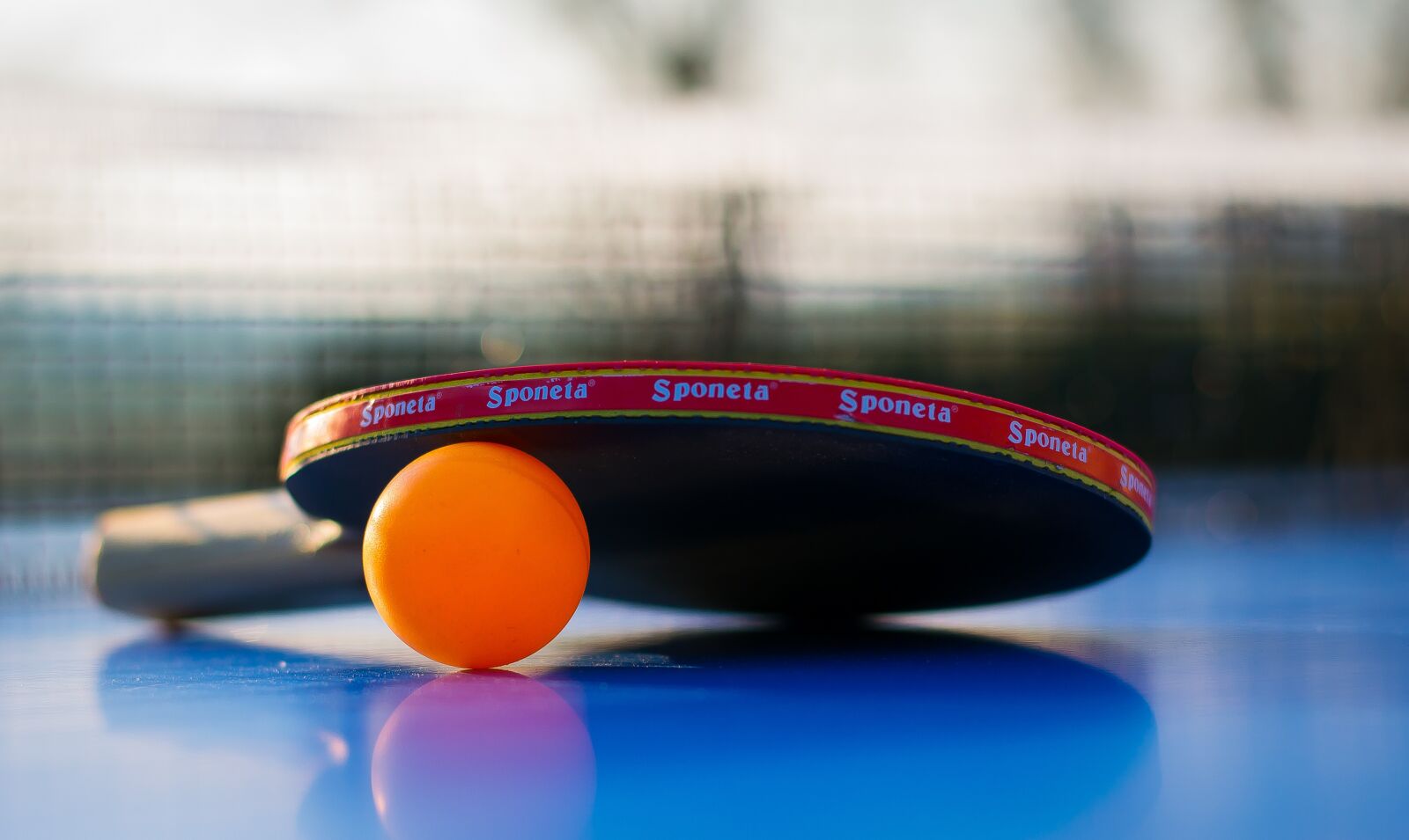 Nikon D3100 sample photo. Sport, ball, leisure photography