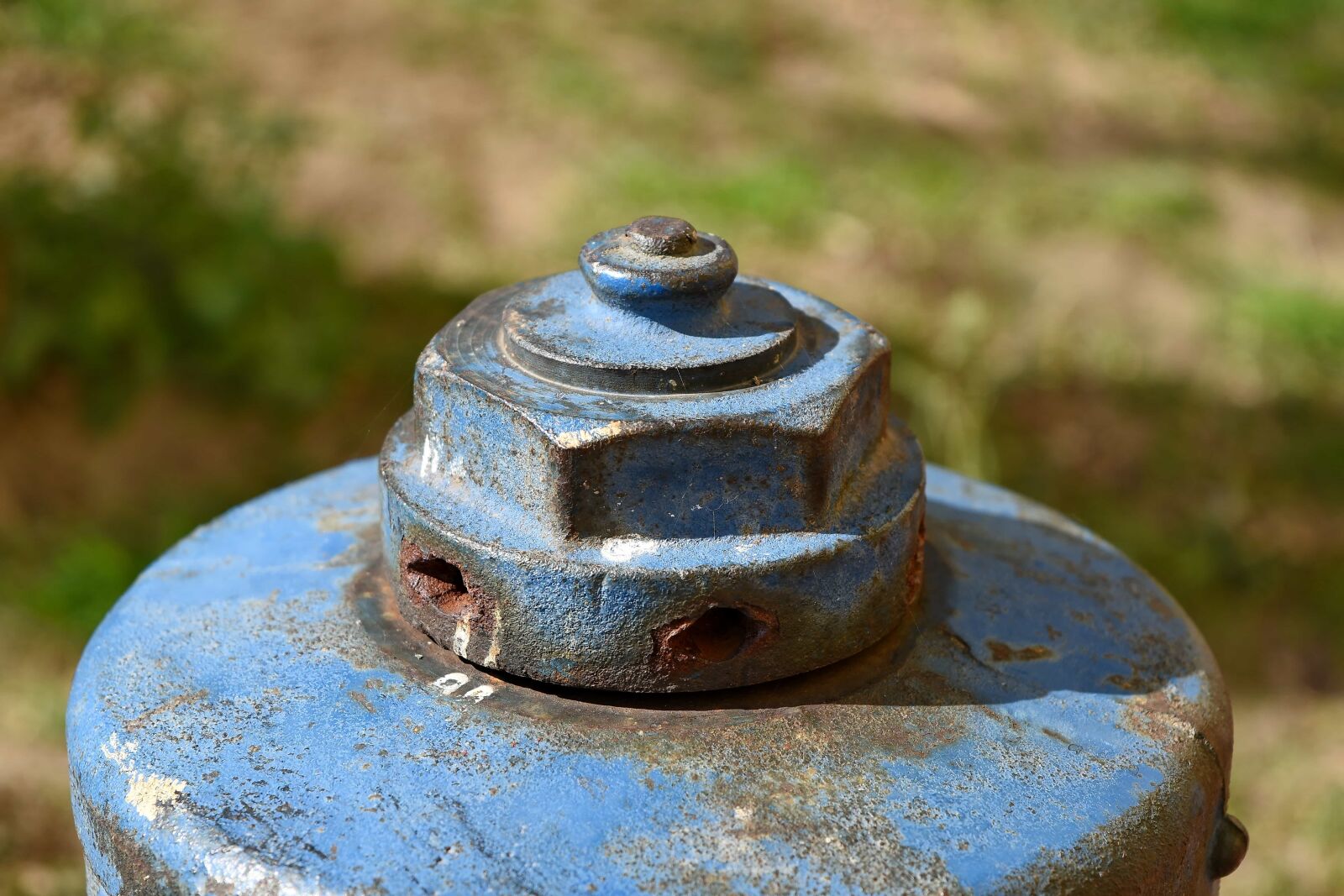 Nikon D5500 sample photo. Hydrant, old, rust, vintage photography