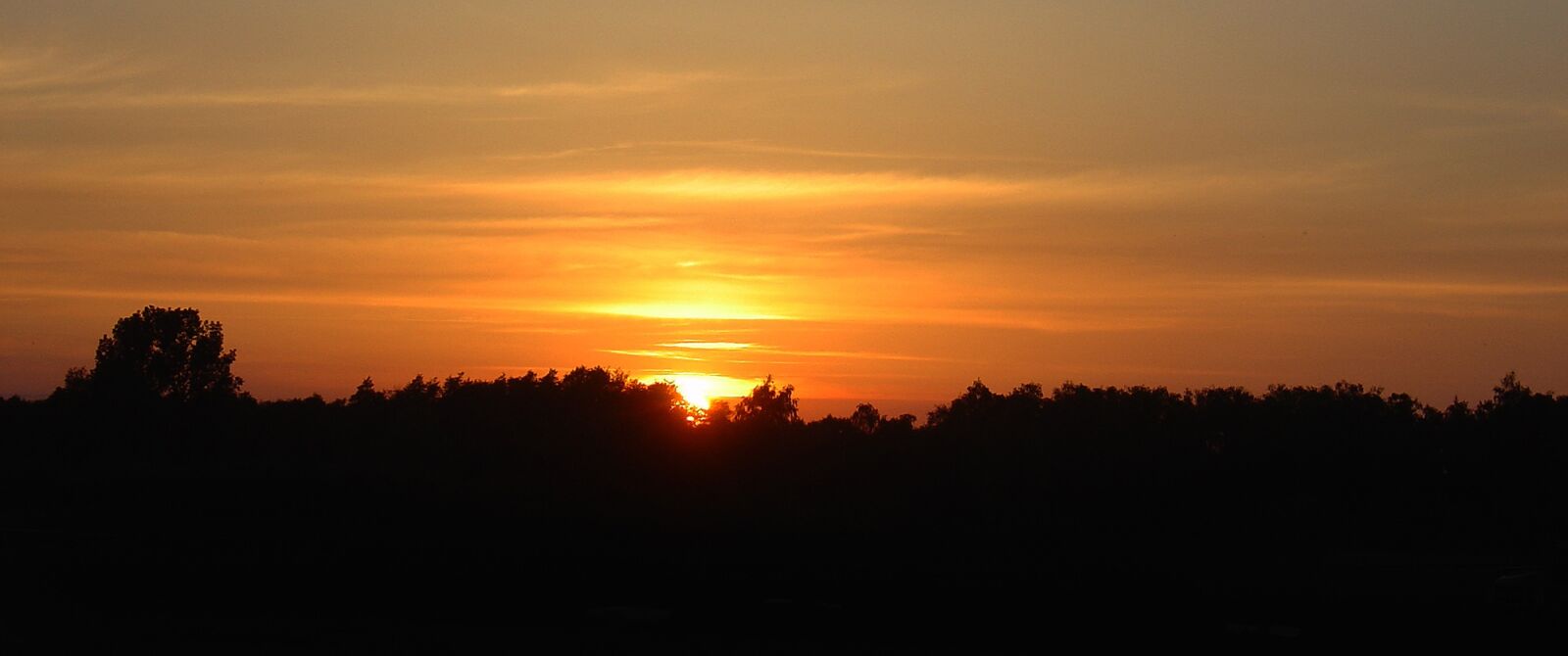 Sony DSC-V1 sample photo. Sunset, orange, abendstimmung photography