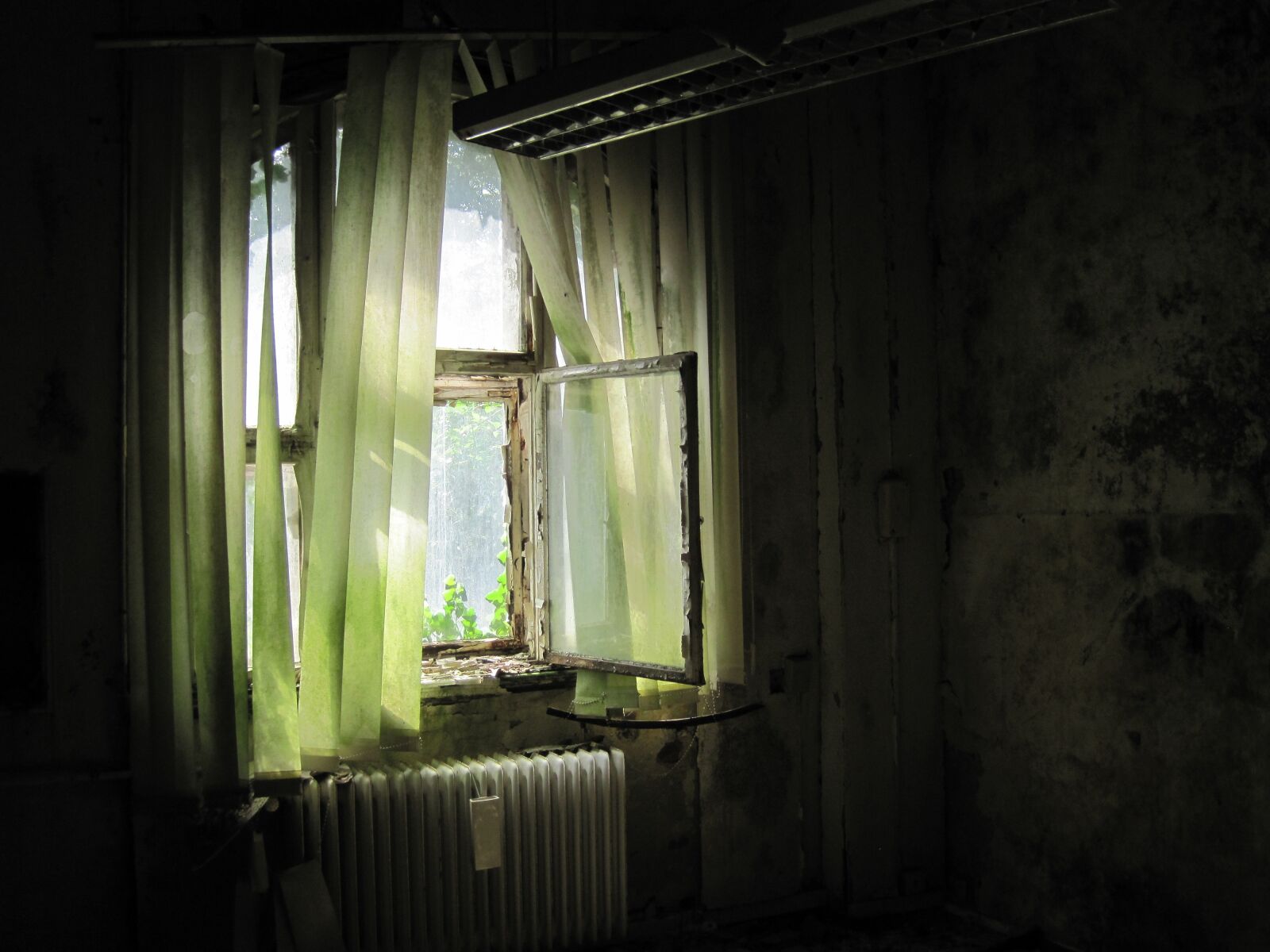 Canon PowerShot D10 sample photo. Window, old, broken photography