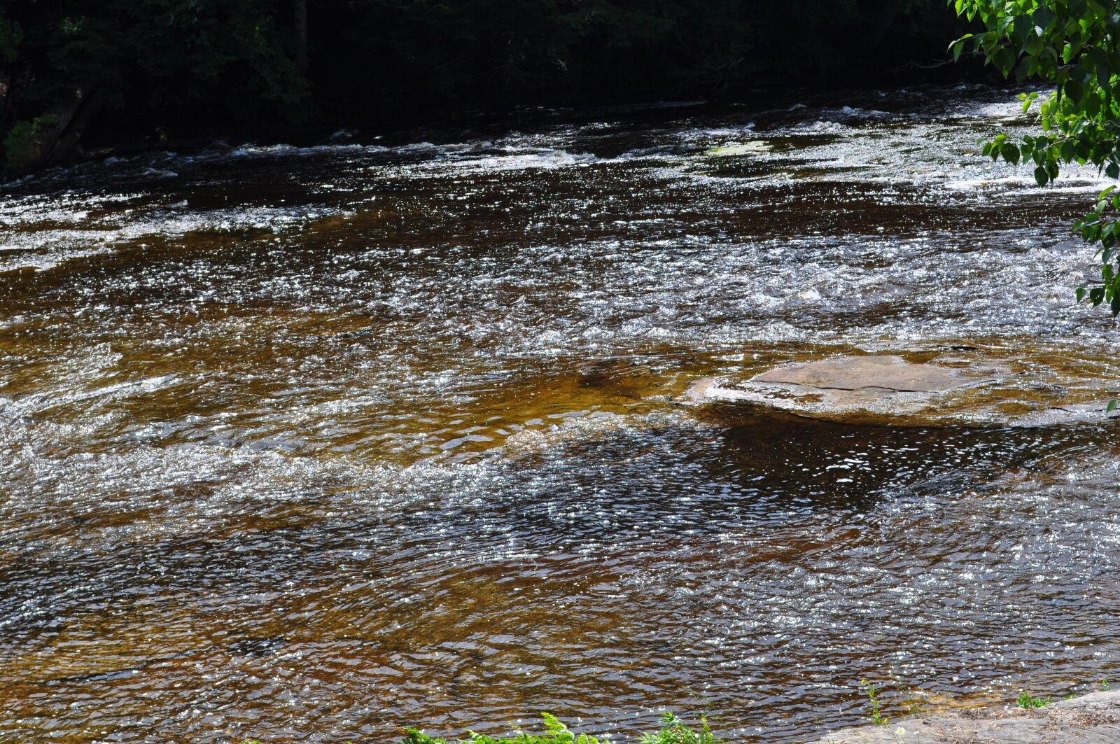 Nikon D5000 sample photo. Rocks, water, texture photography