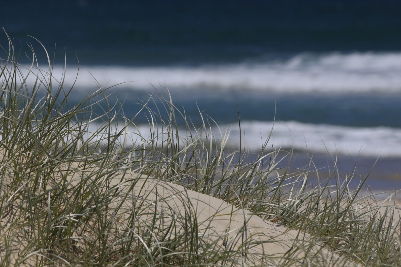 Canon EOS 650D (EOS Rebel T4i / EOS Kiss X6i) sample photo. Beach, summer photography