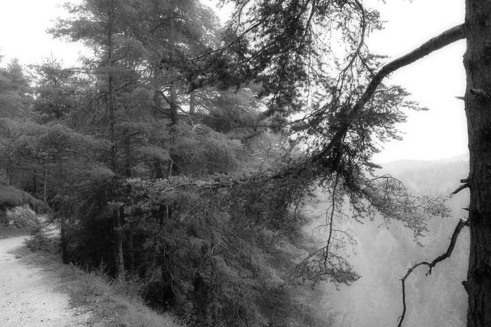 Fujifilm X100F sample photo. Alpine, nature, mountains photography