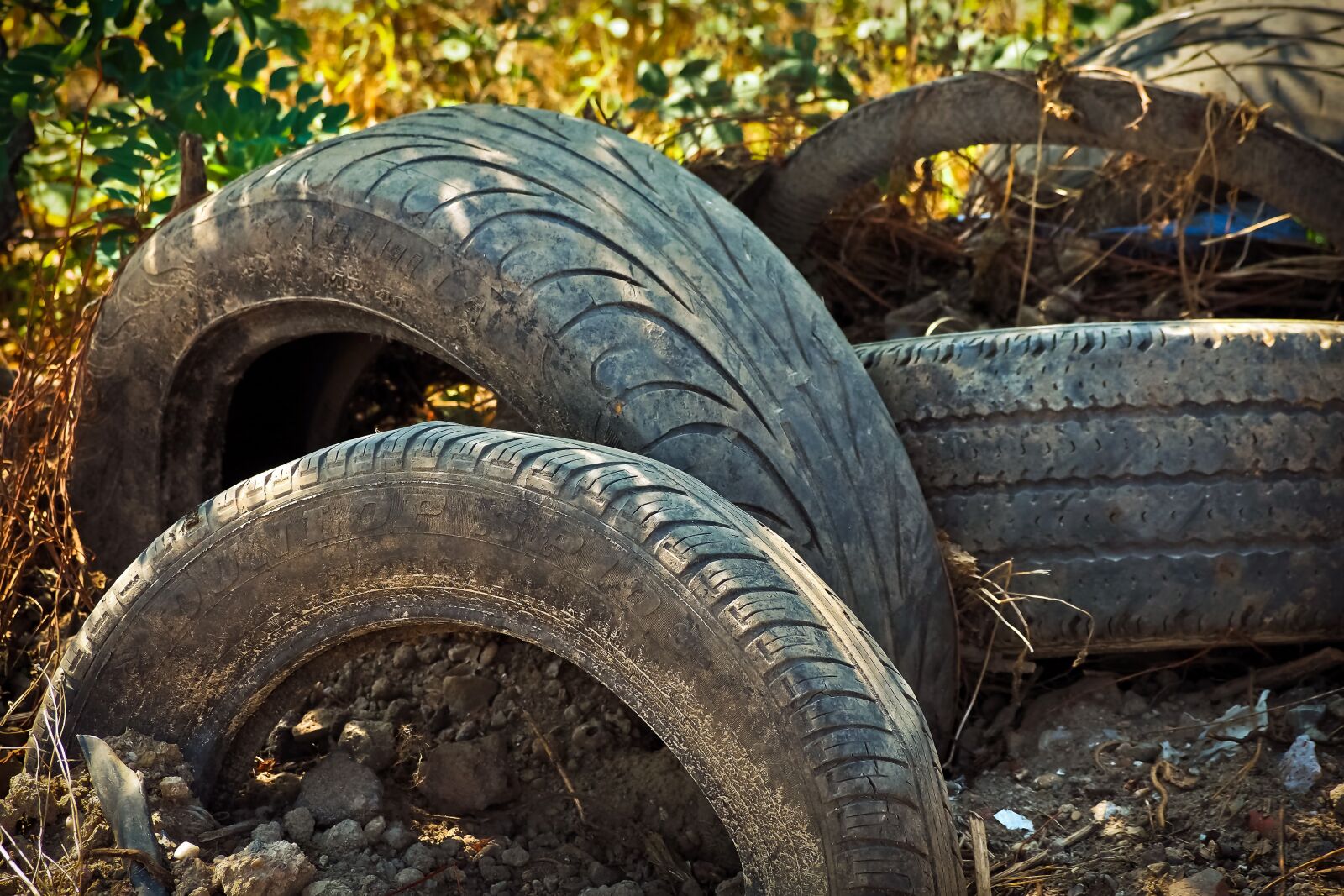 Olympus OM-D E-M10 sample photo. Garbage, debris, waste photography