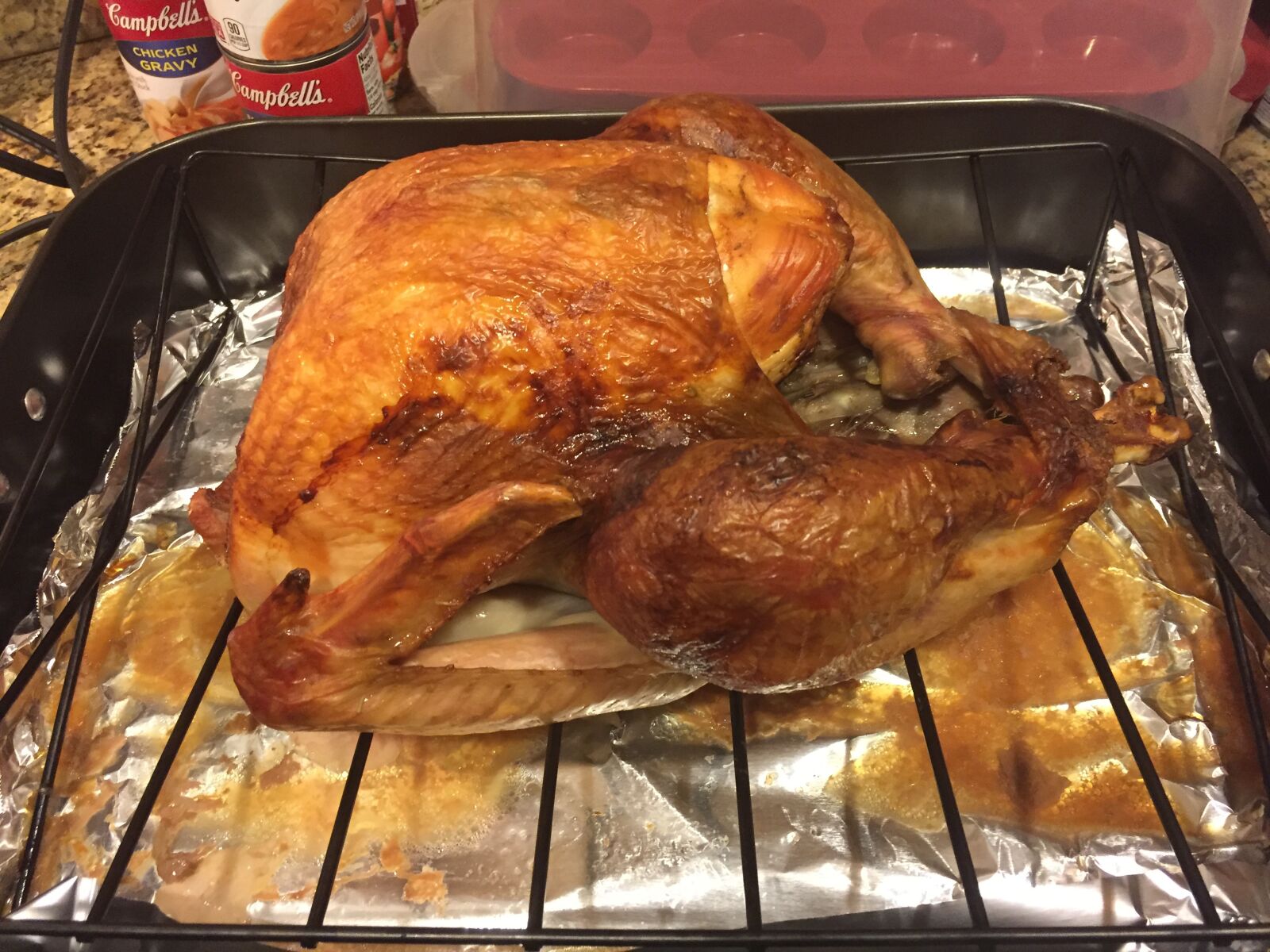 iPhone 6 back camera 4.15mm f/2.2 sample photo. Oven, turkey, bird photography
