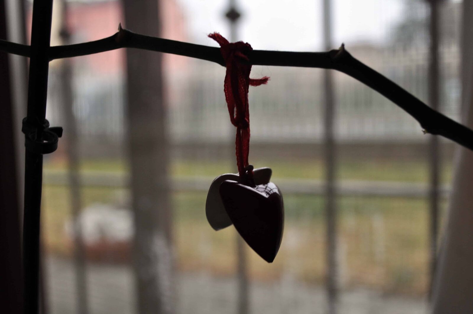 Nikon D5000 sample photo. Heart, love, romance, gift photography