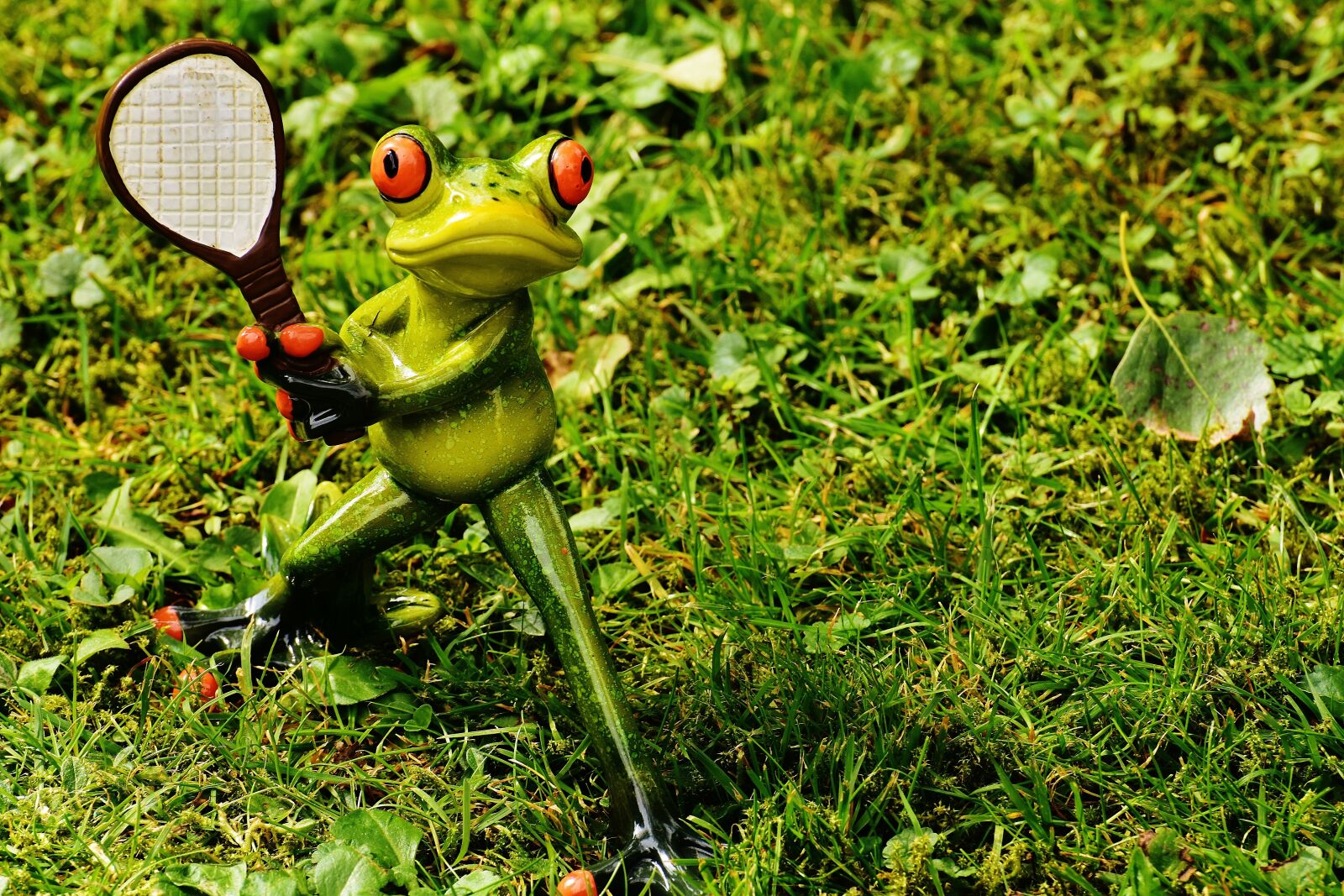 Nikon D7200 sample photo. Tennis, frog, leisure photography