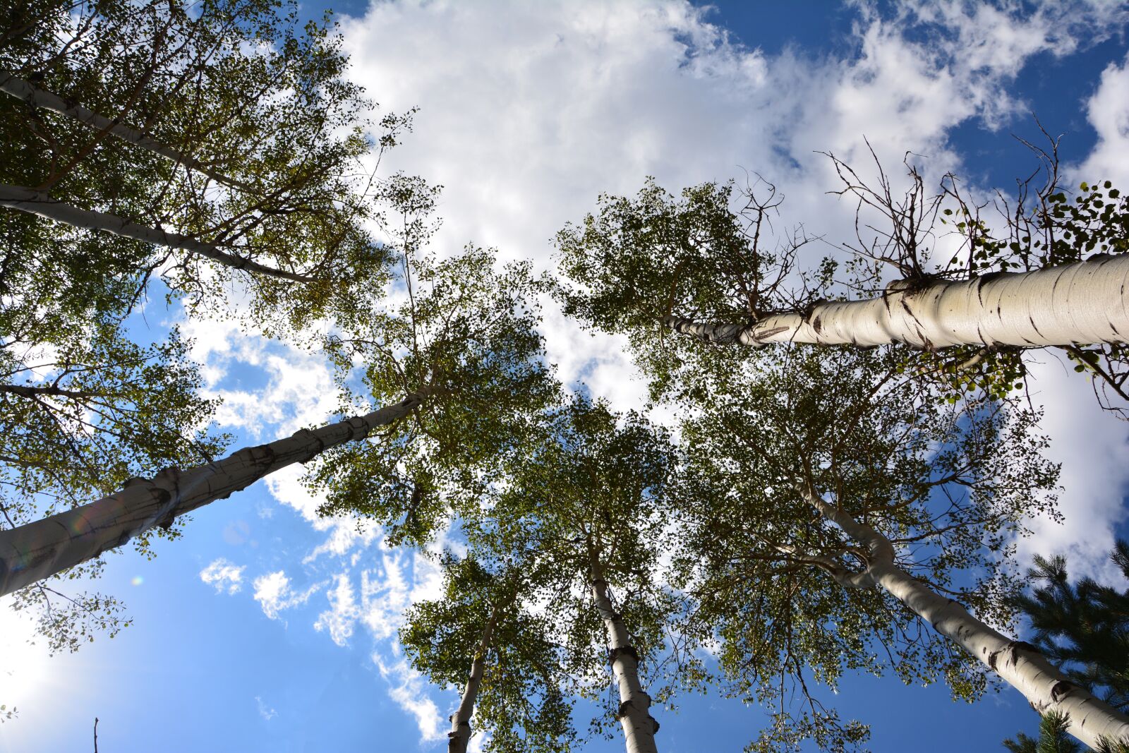 Nikon D7100 sample photo. Landscapes nature, sky, green photography