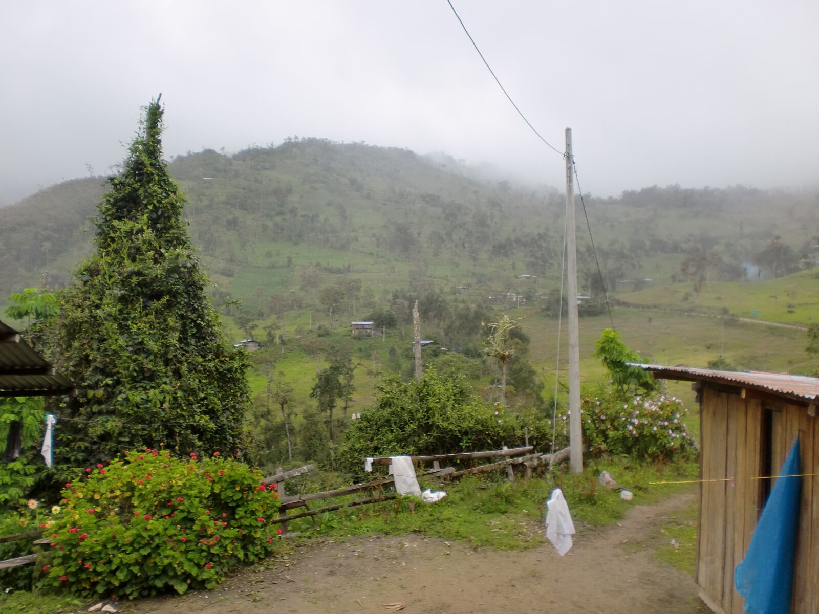 CASIO EX-Z90 sample photo. Casita, field, amazon photography