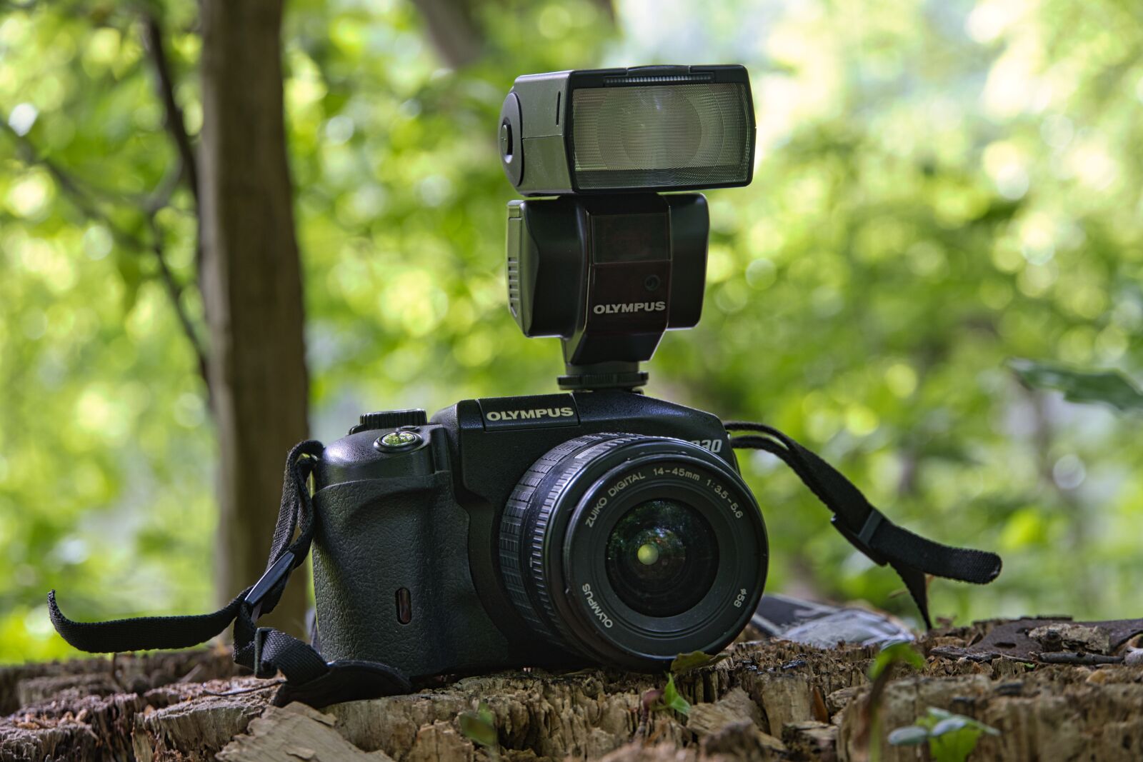 Sony a6400 sample photo. Slr camera, olympus, photograph photography