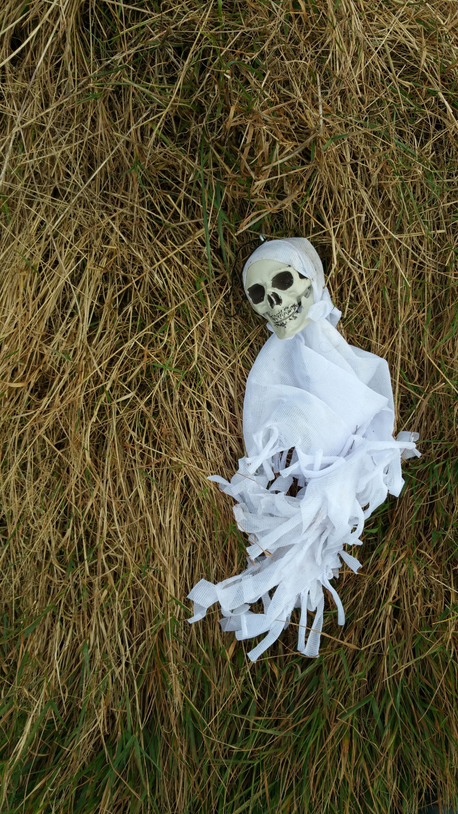 Samsung Galaxy Note4 sample photo. Skull, halloween, white photography