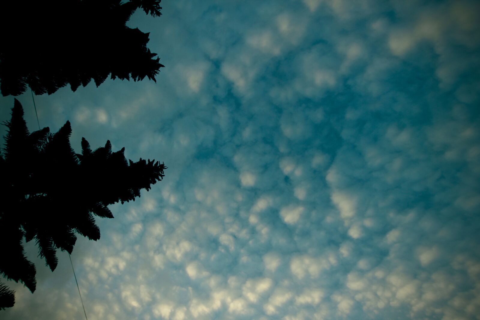 Sigma 10-20mm F3.5 EX DC HSM sample photo. Clouds, happy, home, kenya photography
