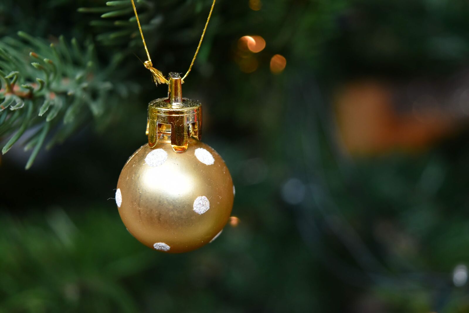 Nikon D5500 sample photo. Christmas tree, golden glow photography