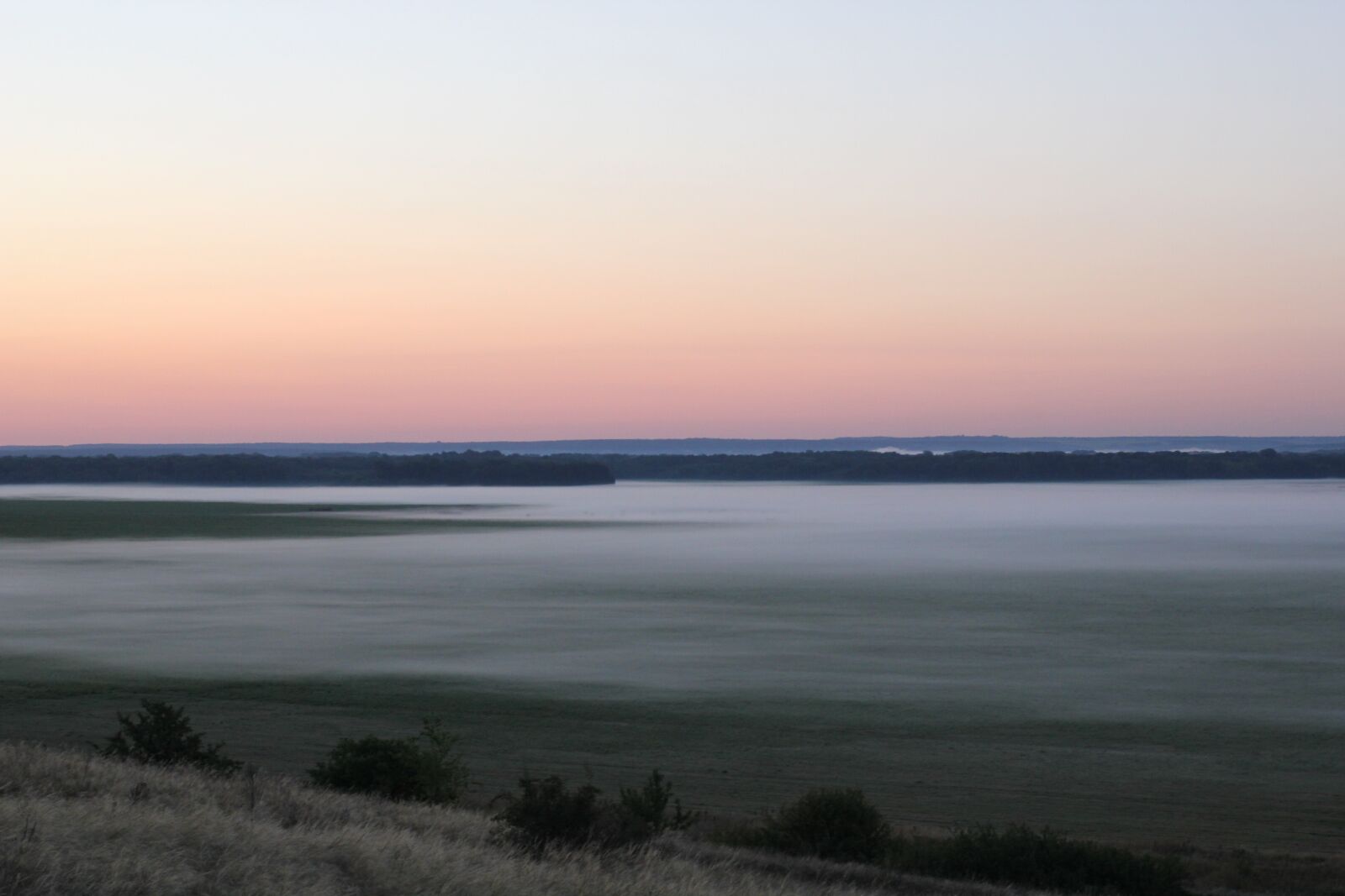 Canon EOS 550D (EOS Rebel T2i / EOS Kiss X4) sample photo. Dawn, fog, trees photography