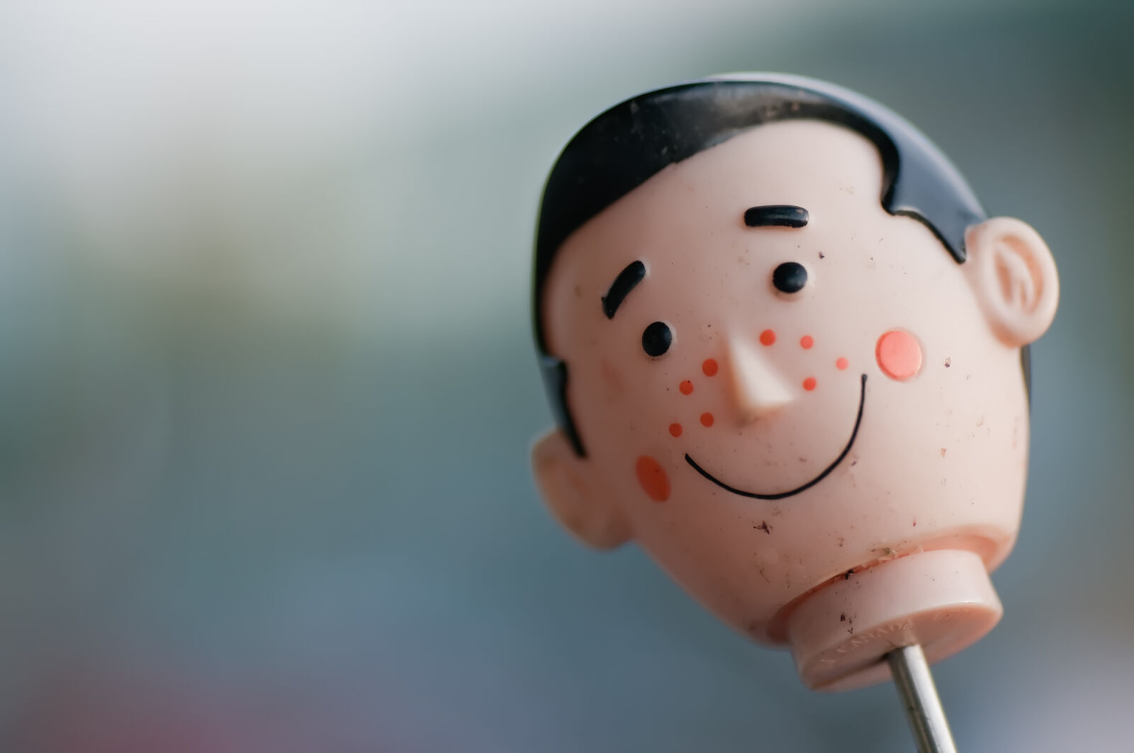 Nikon D300 sample photo. Head, toy, macro photography