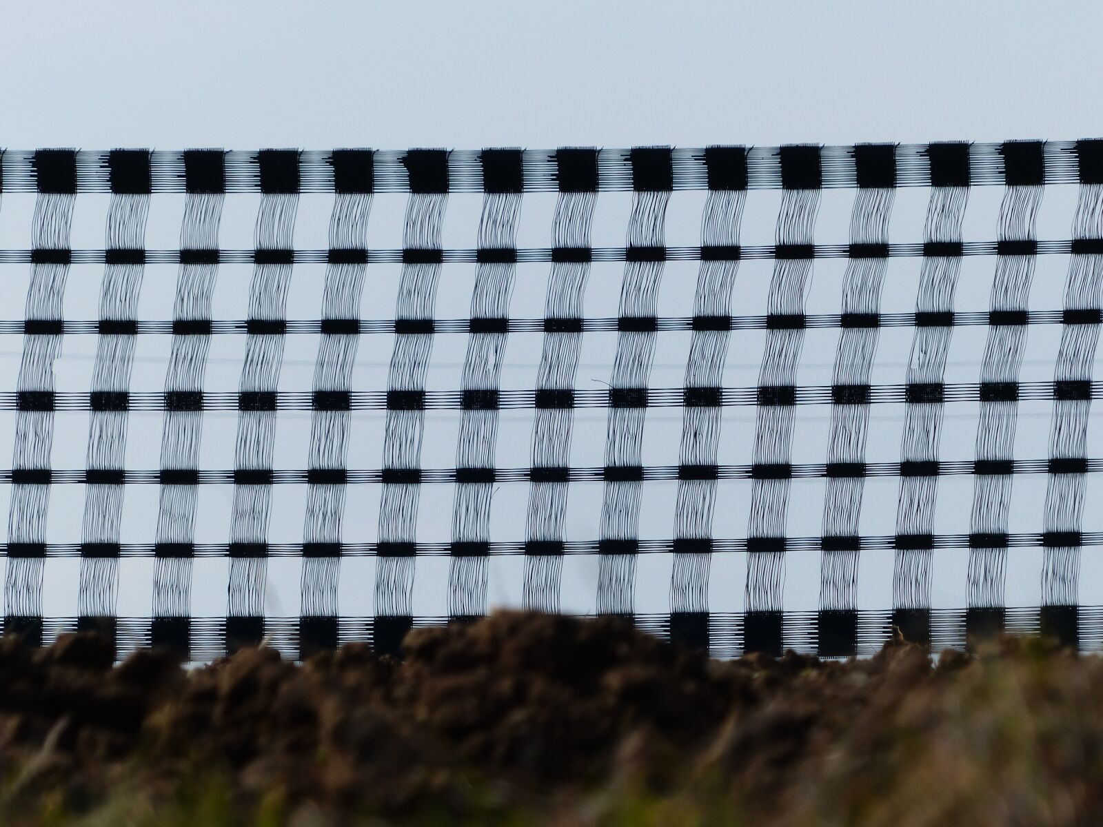 Panasonic Lumix DMC-FZ200 sample photo. Snow fence, fence, braid photography