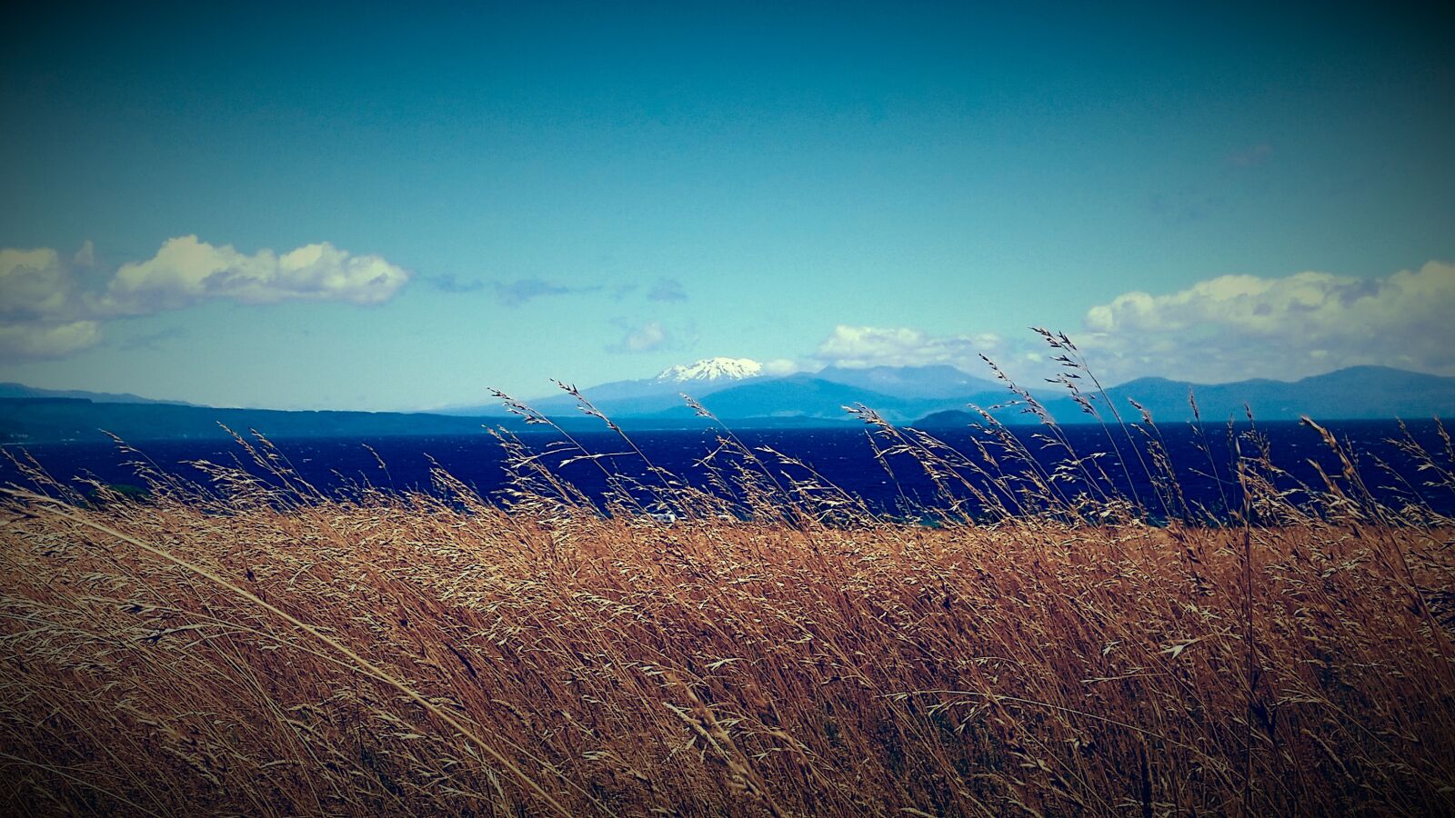 Samsung Galaxy S5 sample photo. Blue, blue, sky, blue photography