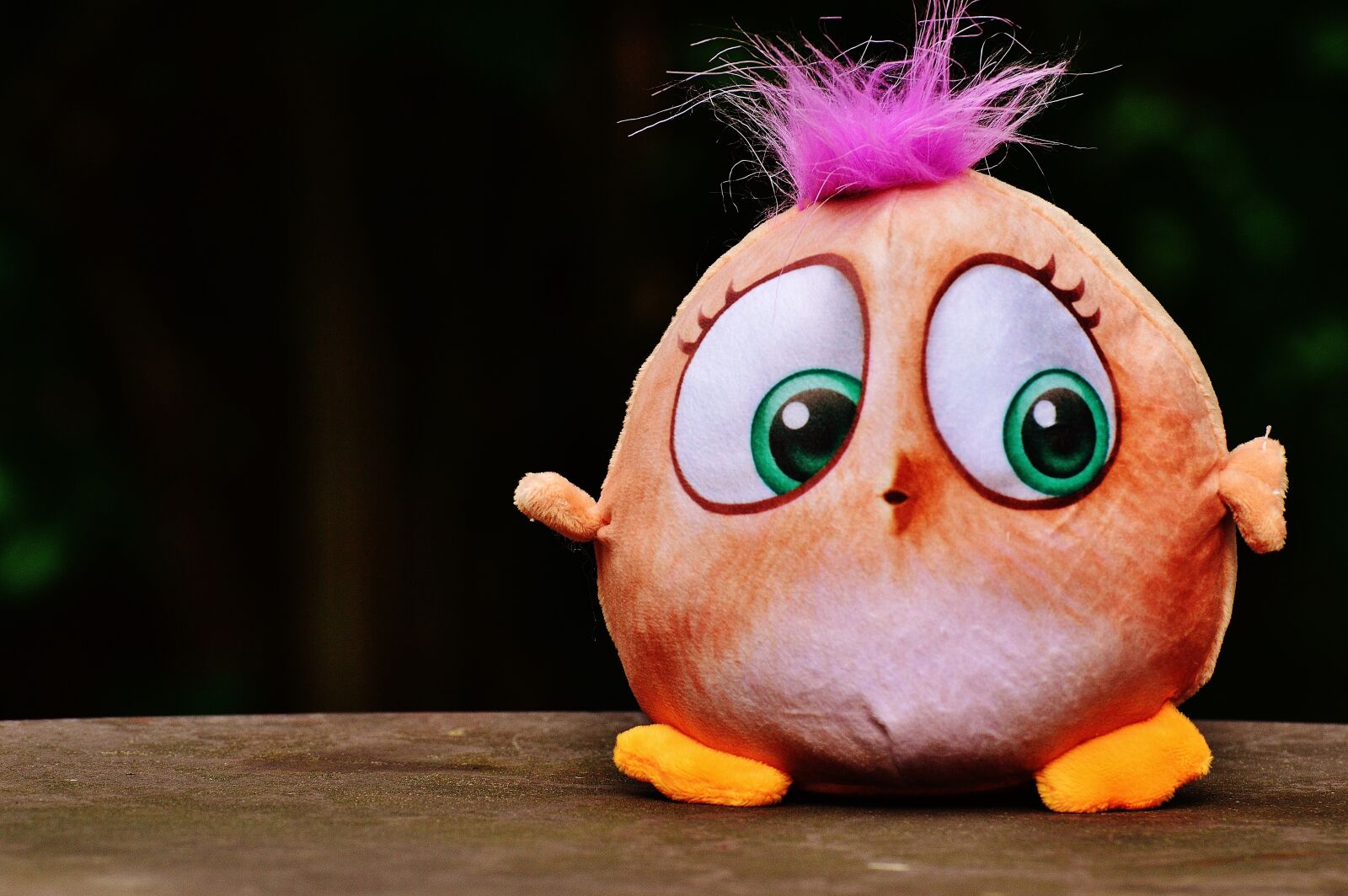Nikon D3200 sample photo. Bird, birdie, plush photography