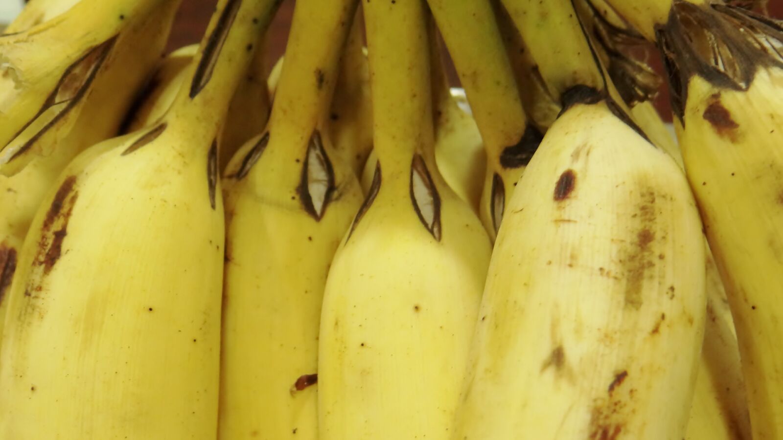 Sony DSC-HX200V sample photo. 365, photos, bananas, fruit, ripe photography