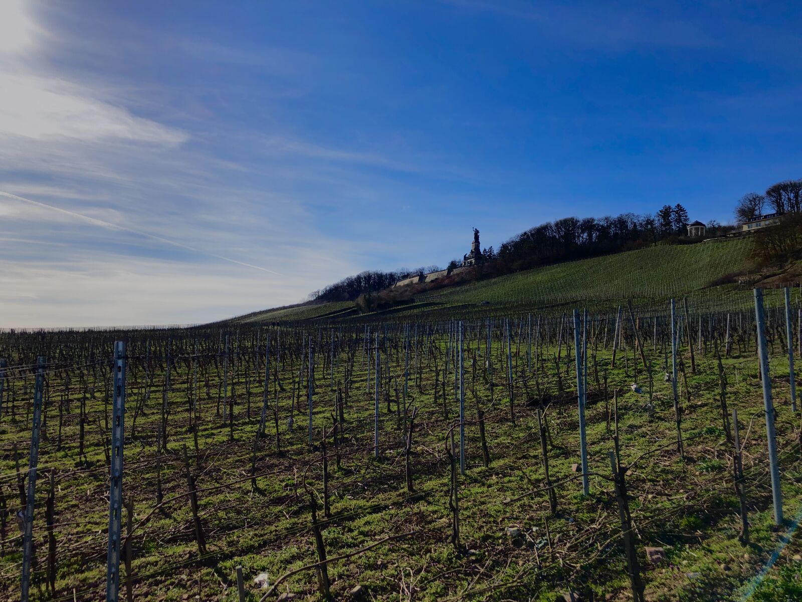 iPhone 8 back camera 3.99mm f/1.8 sample photo. Niederwald, monument, germania photography