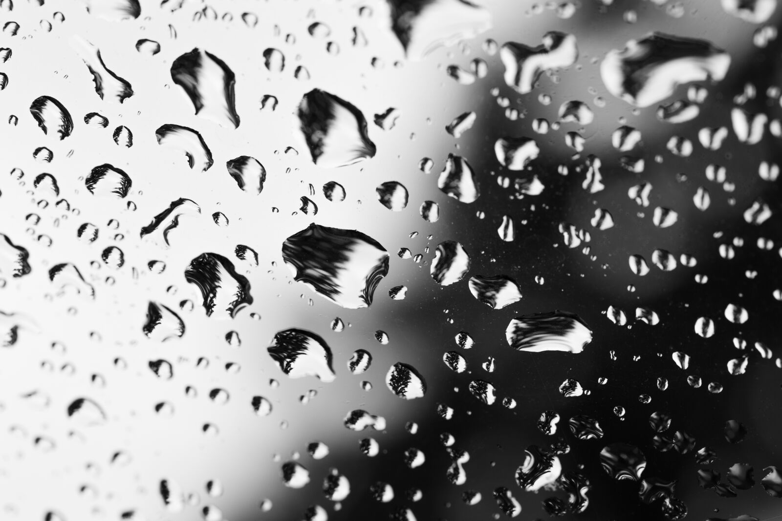 Canon EF 100mm F2.8L Macro IS USM sample photo. Drip, raindrop, water photography