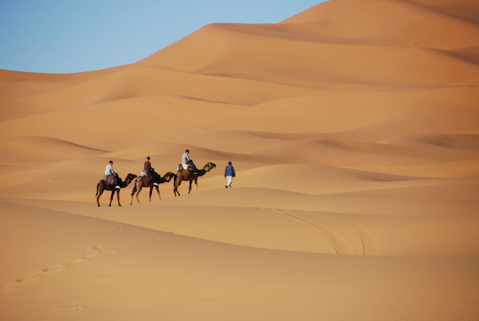 Nikon D40X sample photo. Desert, sand, dunes photography