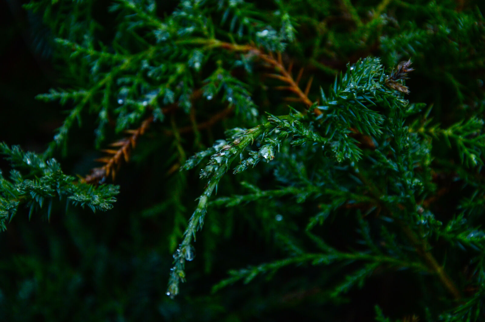 Nikon D3200 sample photo