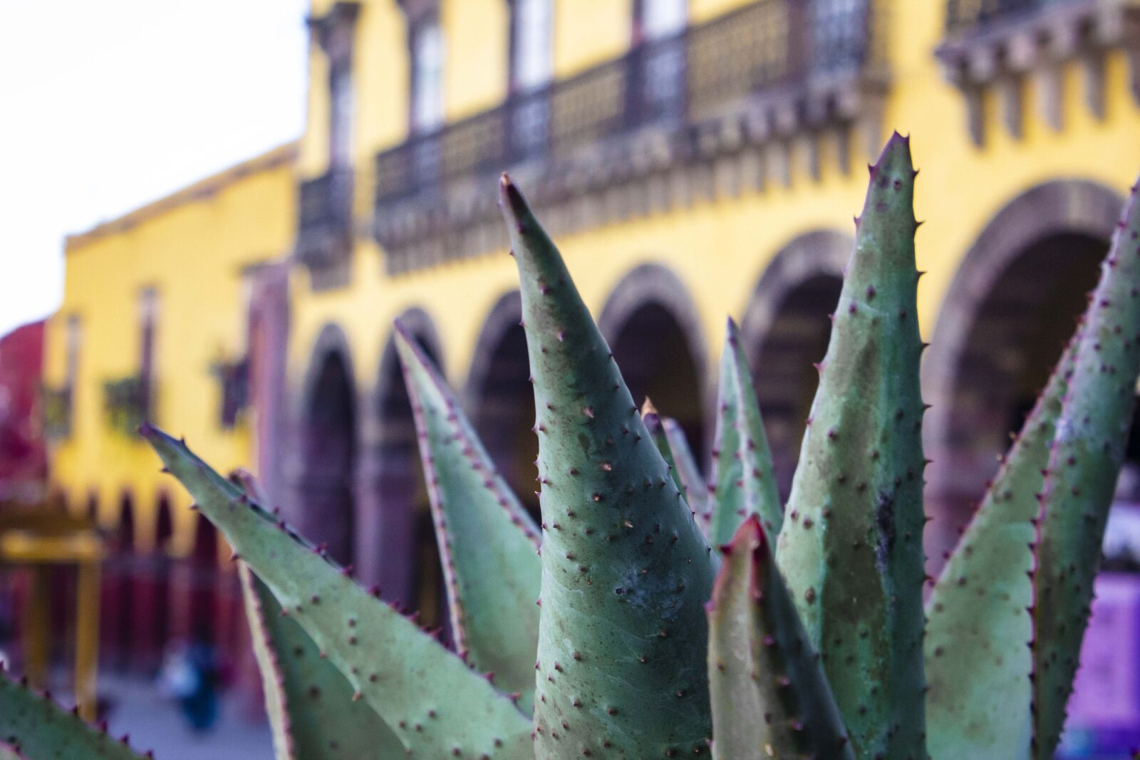 Canon EOS 600D (Rebel EOS T3i / EOS Kiss X5) sample photo. Mexico, colonial city, mexican photography